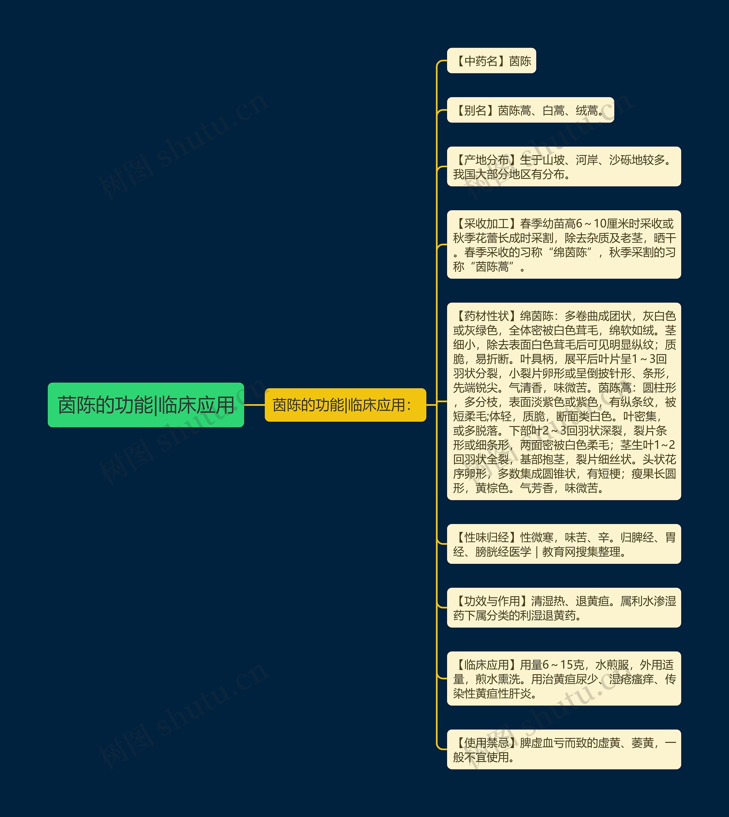 茵陈的功能|临床应用思维导图
