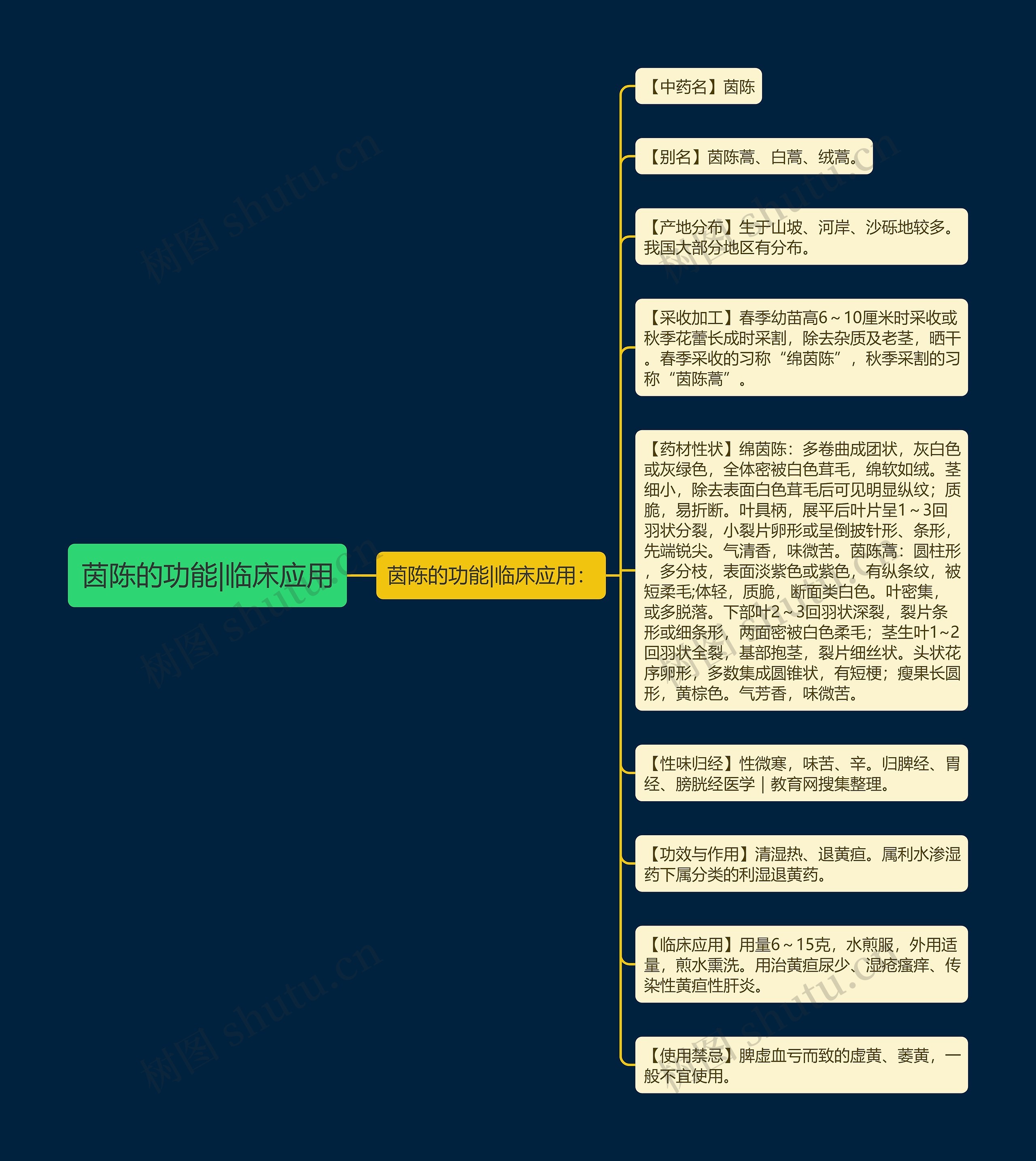 茵陈的功能|临床应用 茵陈的功能|临床应用