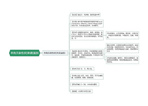 羊角天麻性状|来源|鉴别