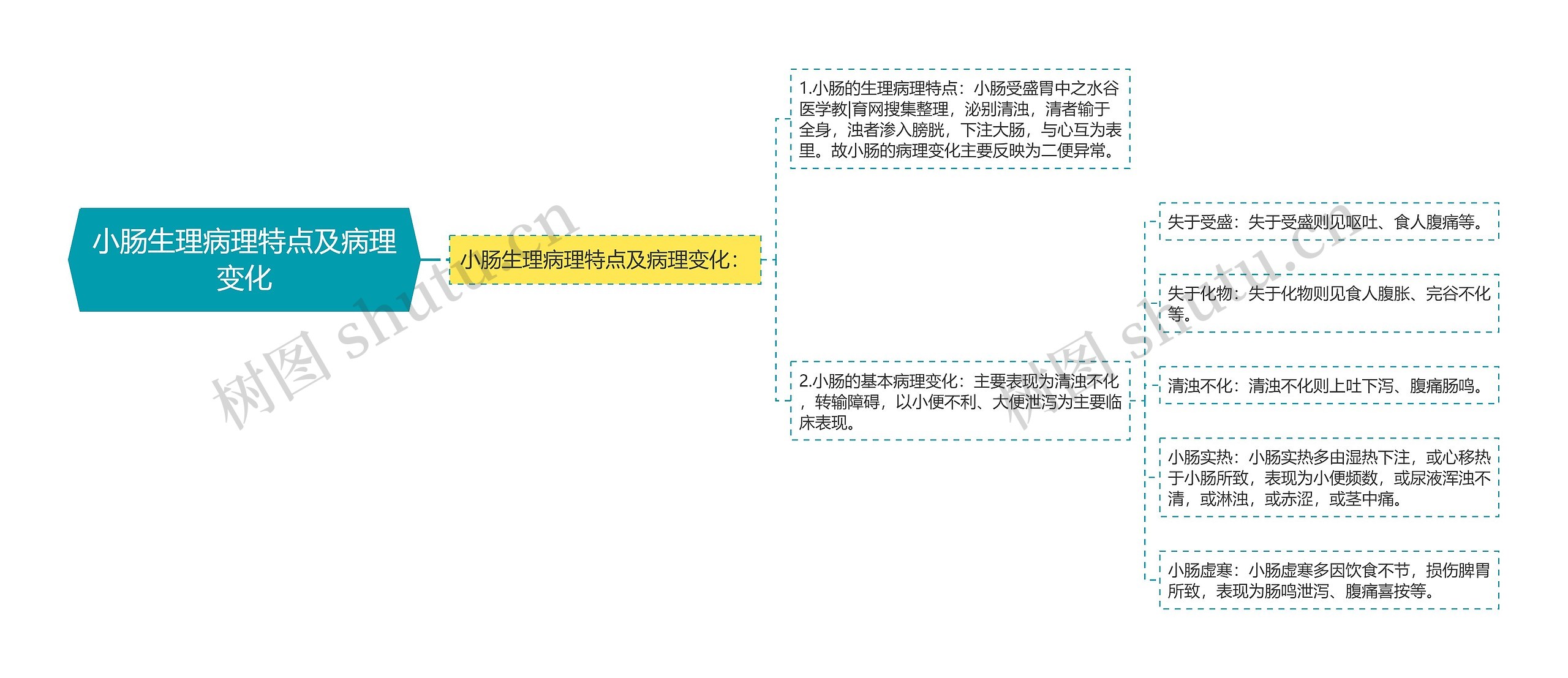 小肠生理病理特点及病理变化