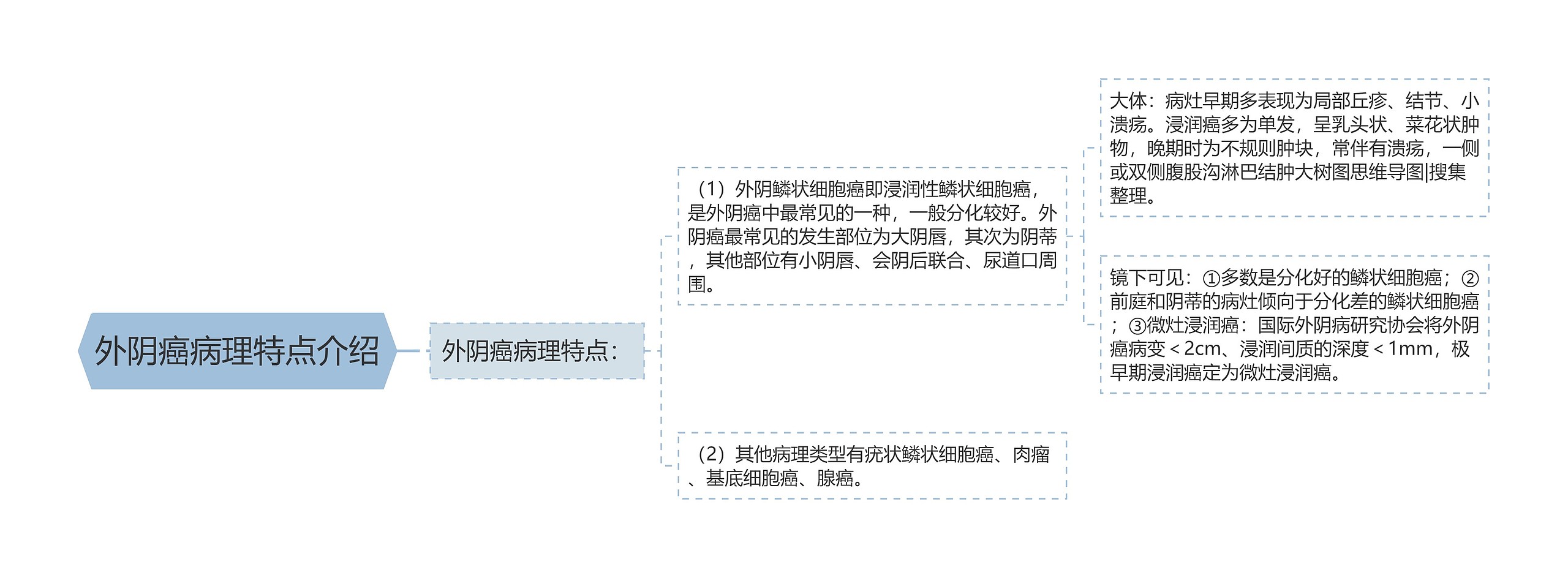 外阴癌病理特点介绍思维导图