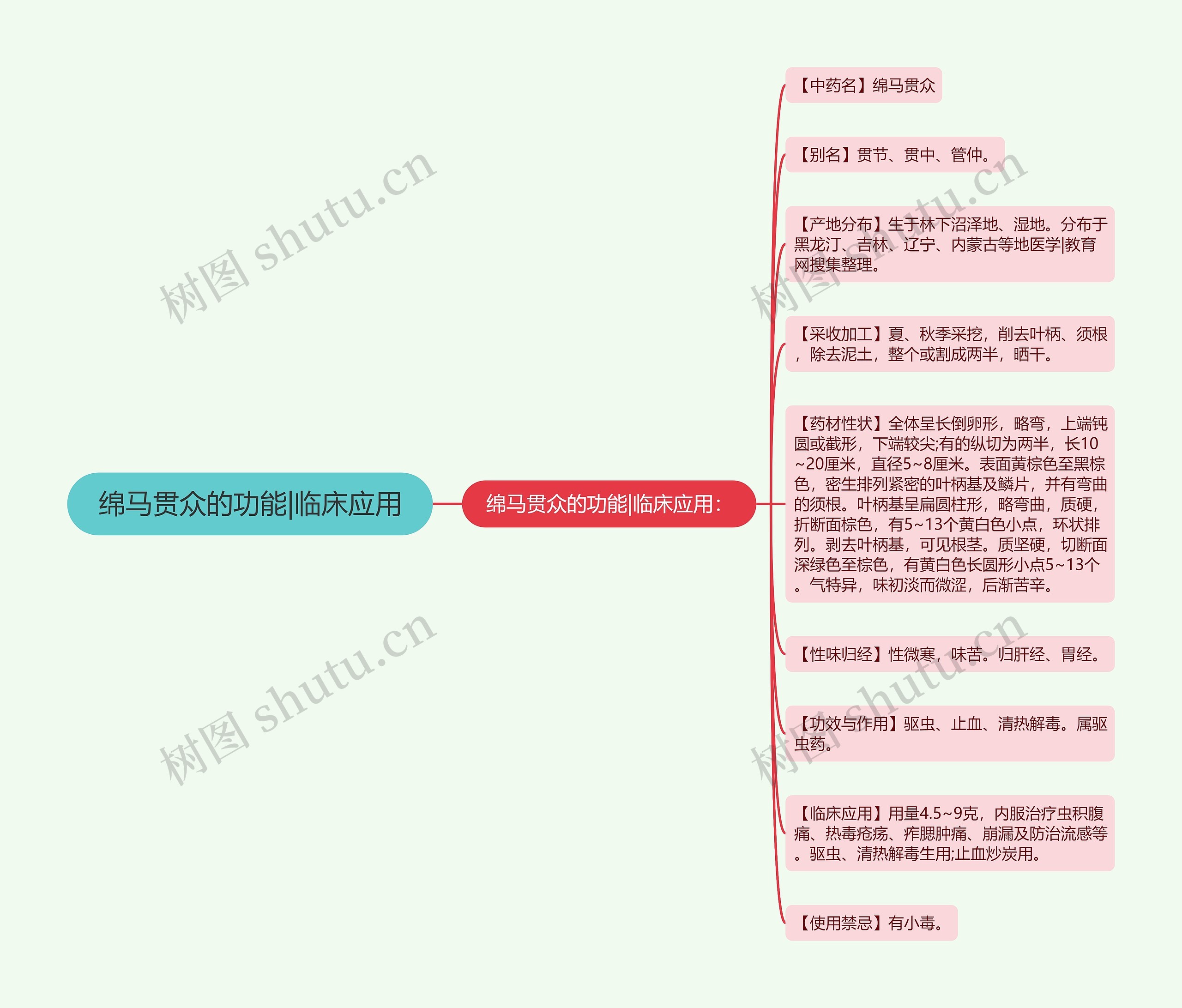 绵马贯众的功能|临床应用 绵马贯众的功能|临床应用