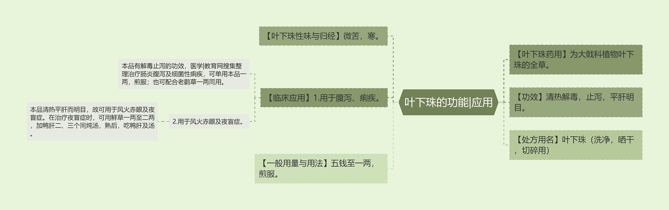 叶下珠的功能|应用思维导图