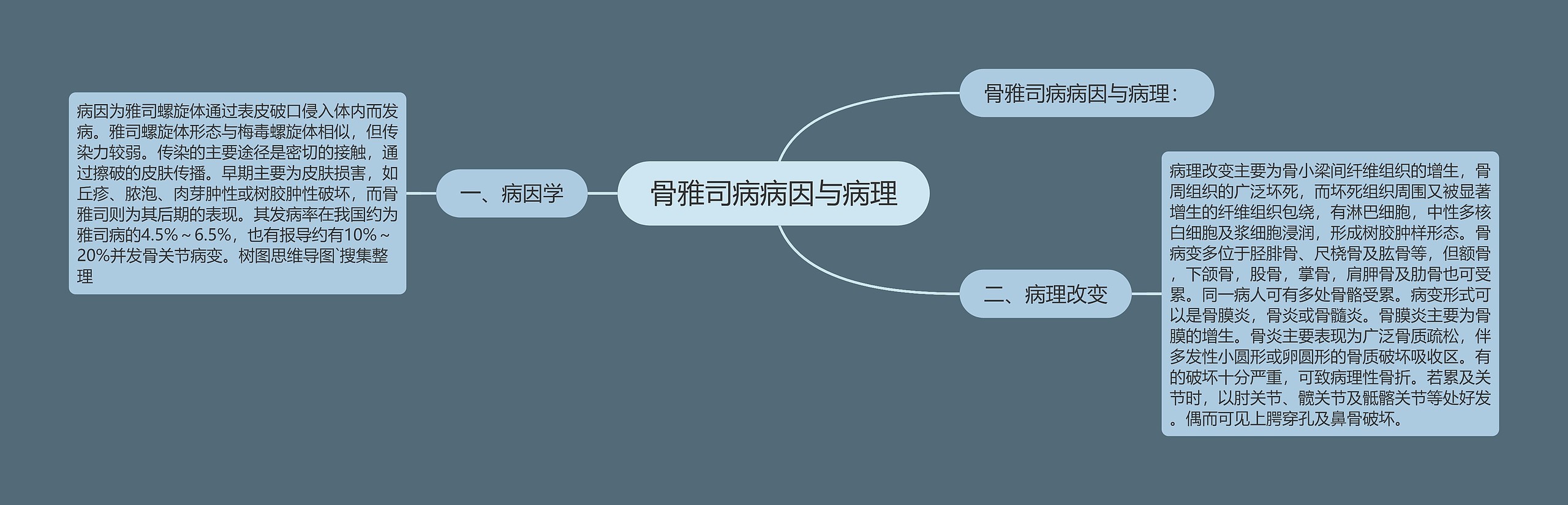 骨雅司病病因与病理 骨雅司病病因与病理