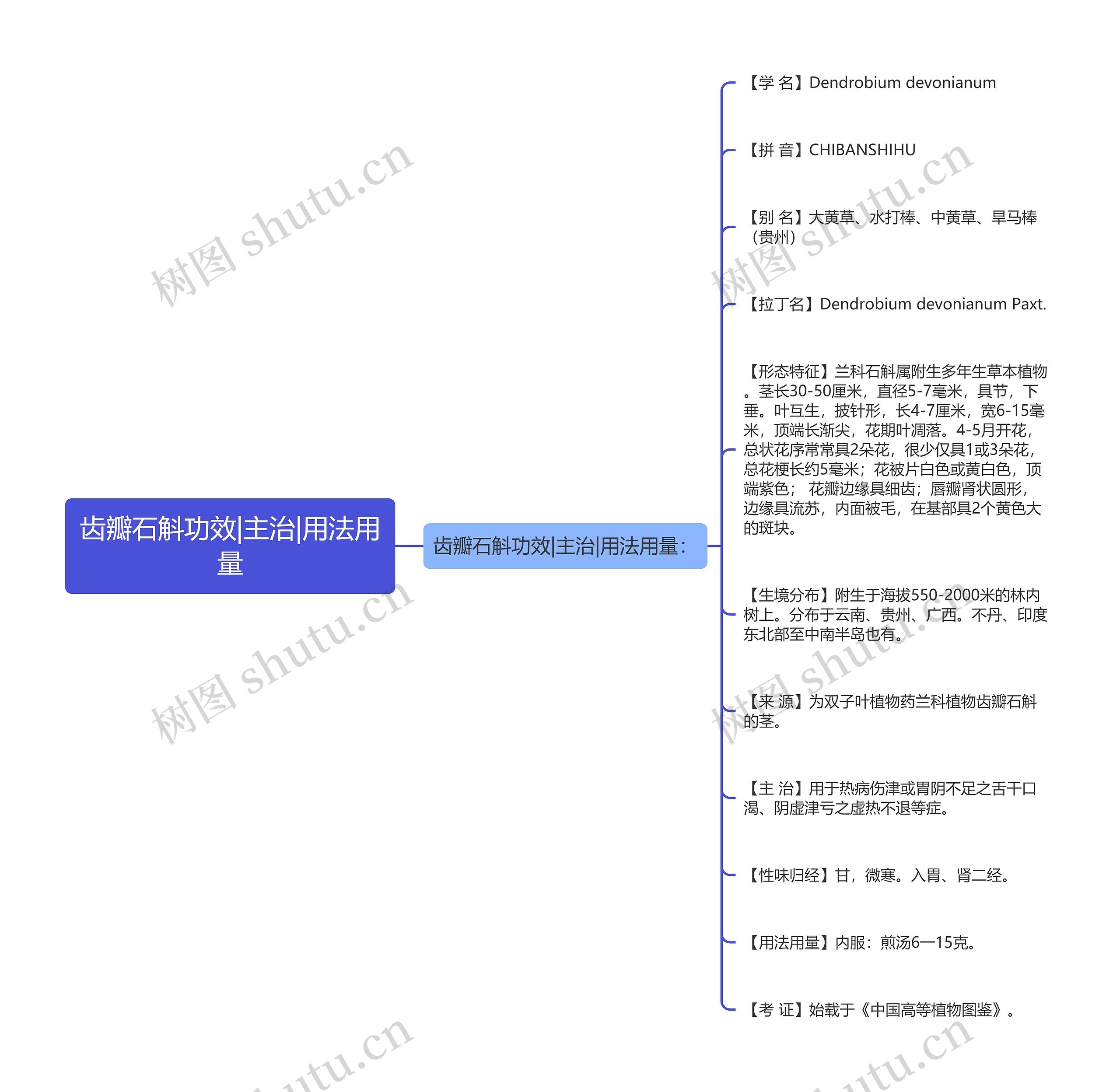 齿瓣石斛功效|主治|用法用量思维导图