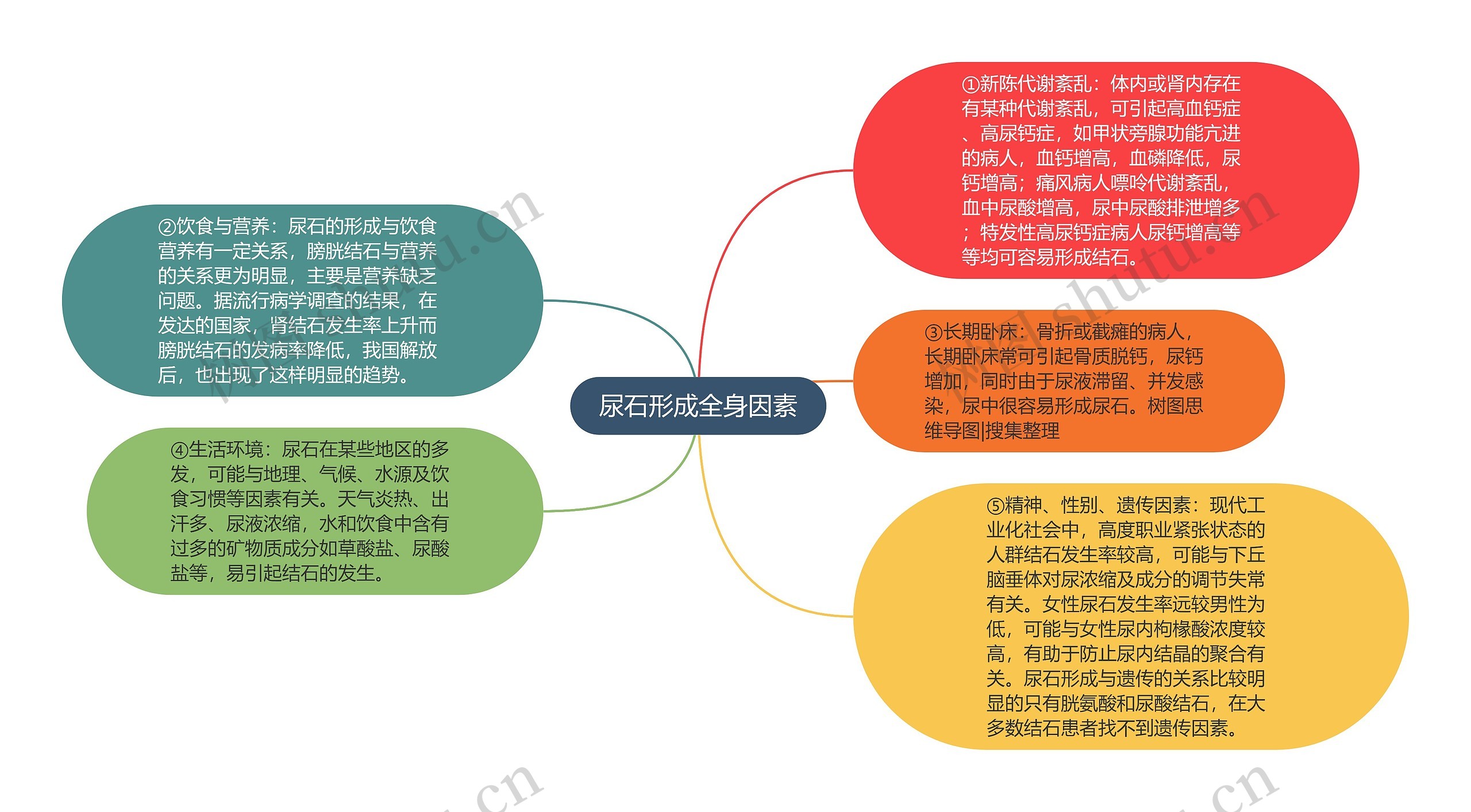 尿石形成全身因素思维导图