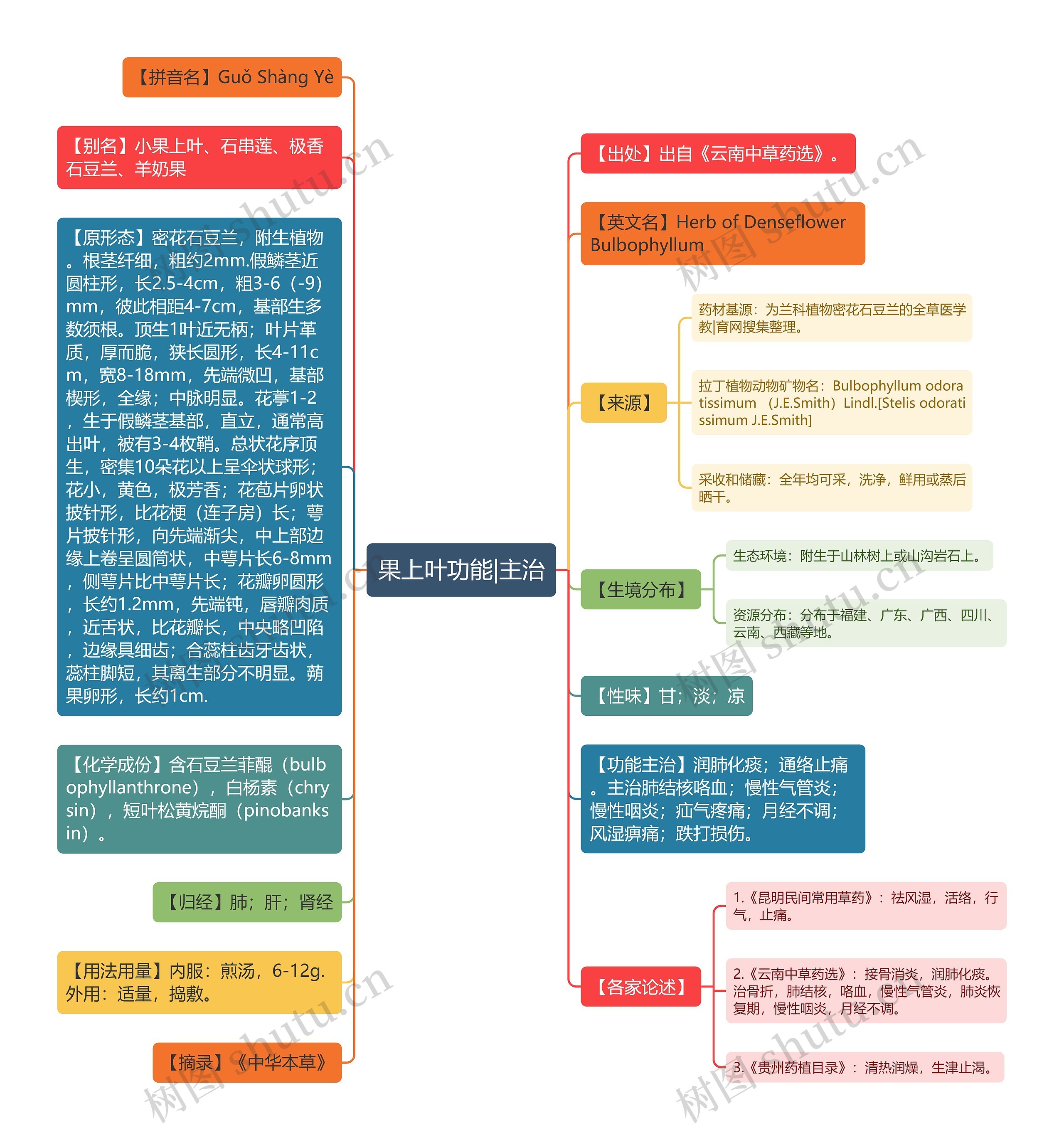 果上叶功能|主治思维导图