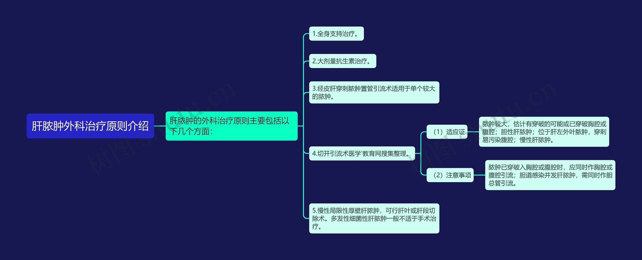 肝脓肿外科治疗原则介绍思维导图