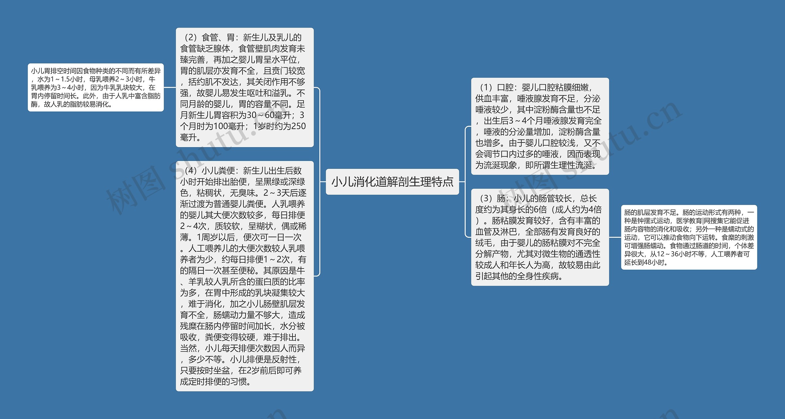 小儿消化道解剖生理特点思维导图