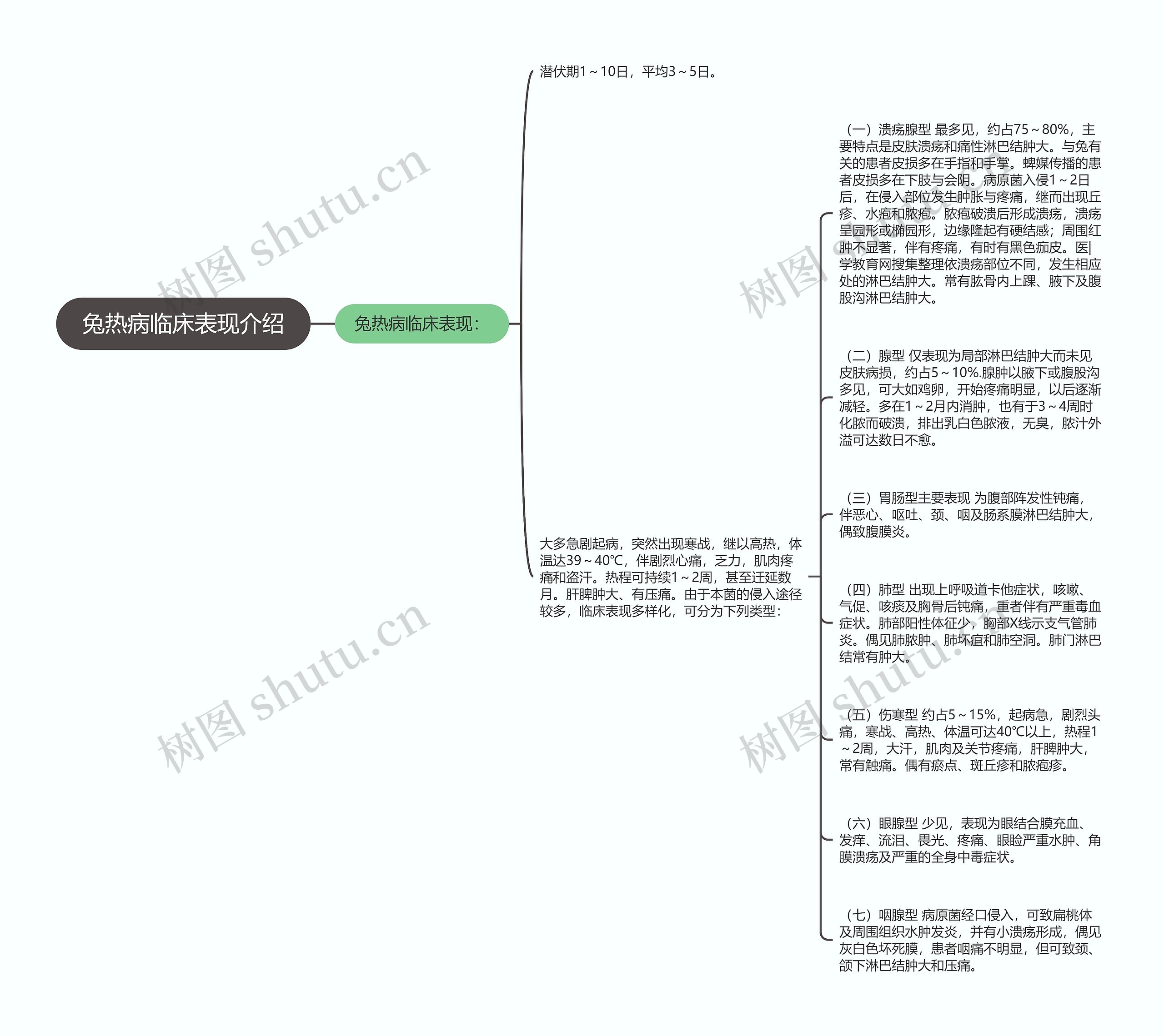 兔热病临床表现介绍思维导图