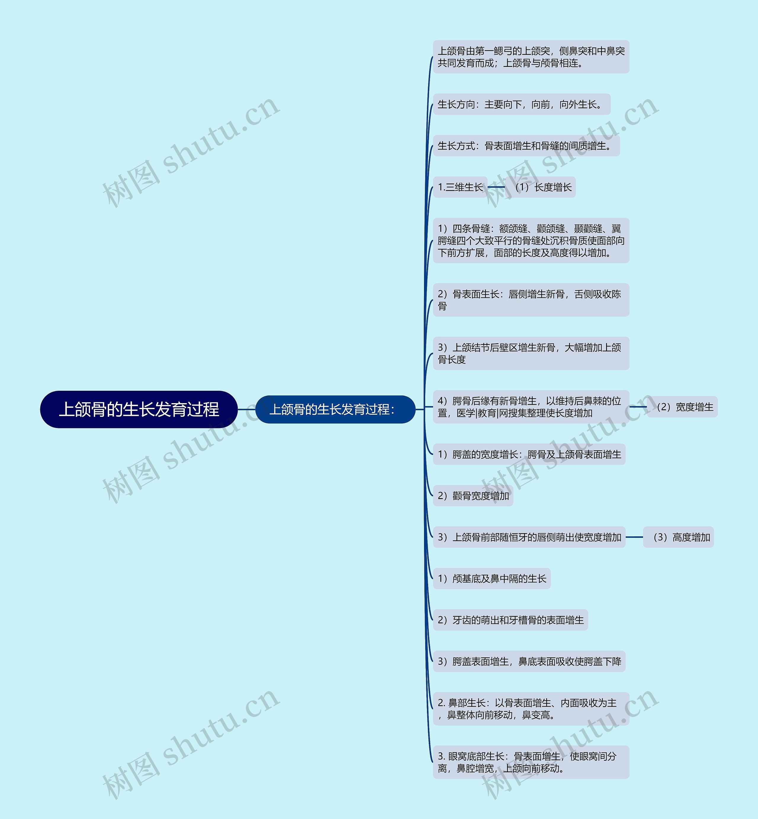 上颌骨的生长发育过程思维导图