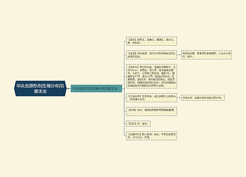 叩头虫原形态|生境分布|功能主治