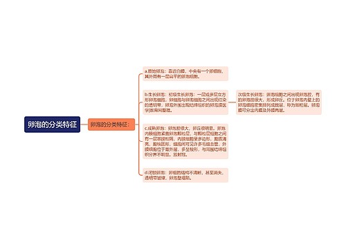 卵泡的分类特征