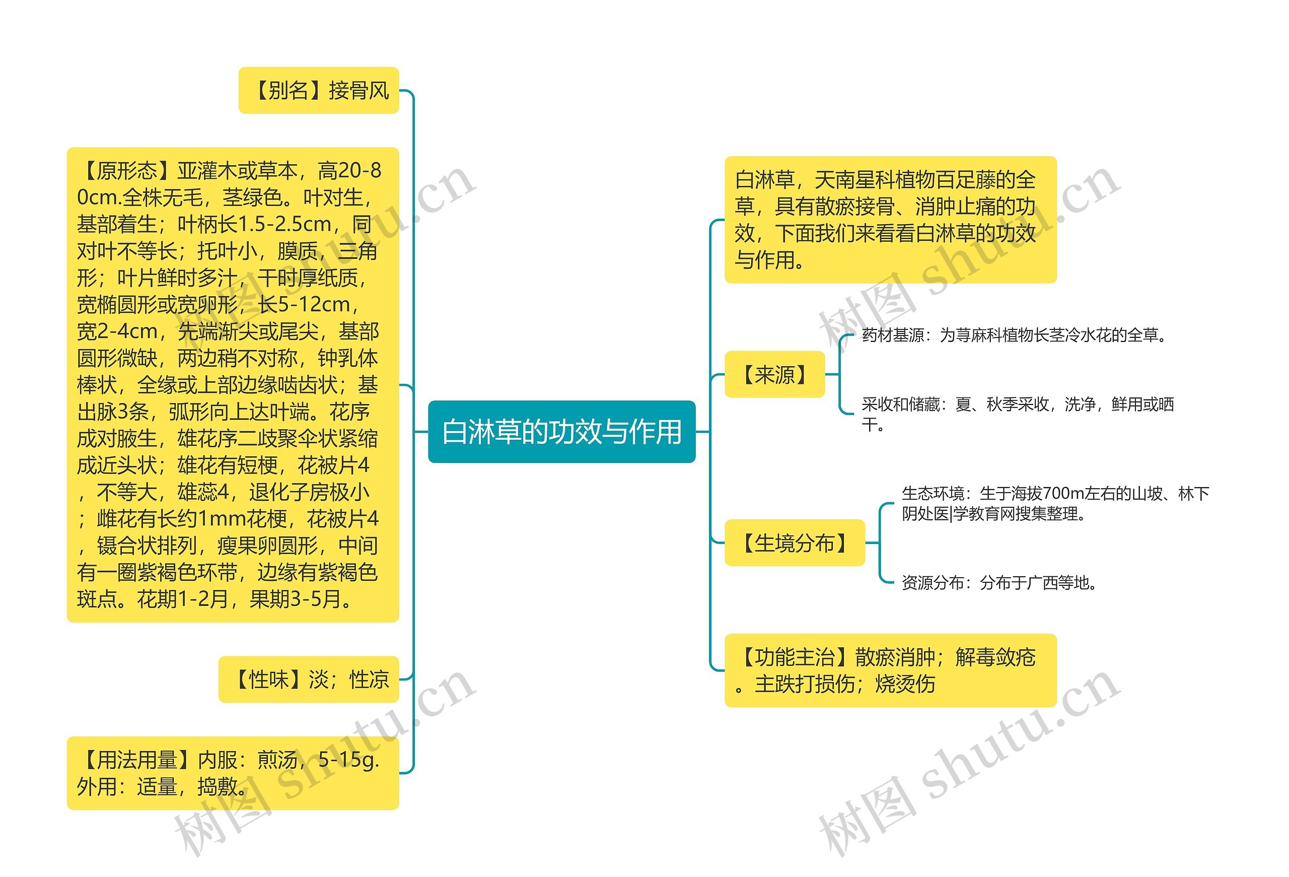 白淋草的功效与作用思维导图