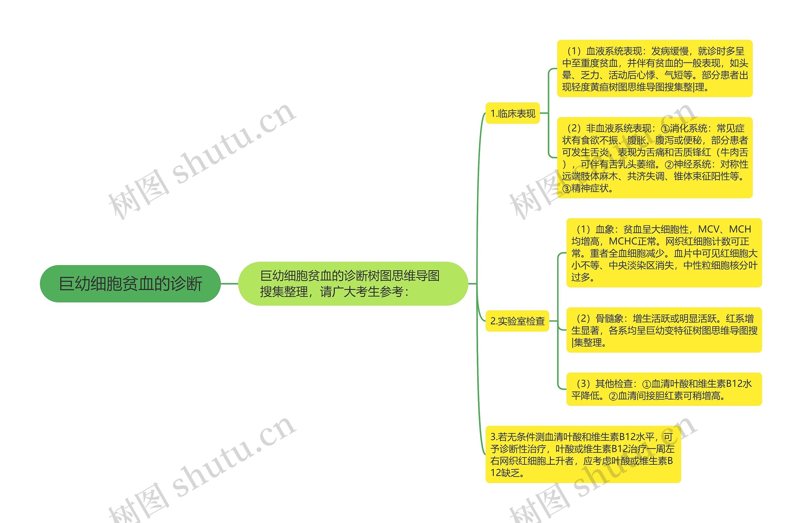 巨幼细胞贫血的诊断思维导图