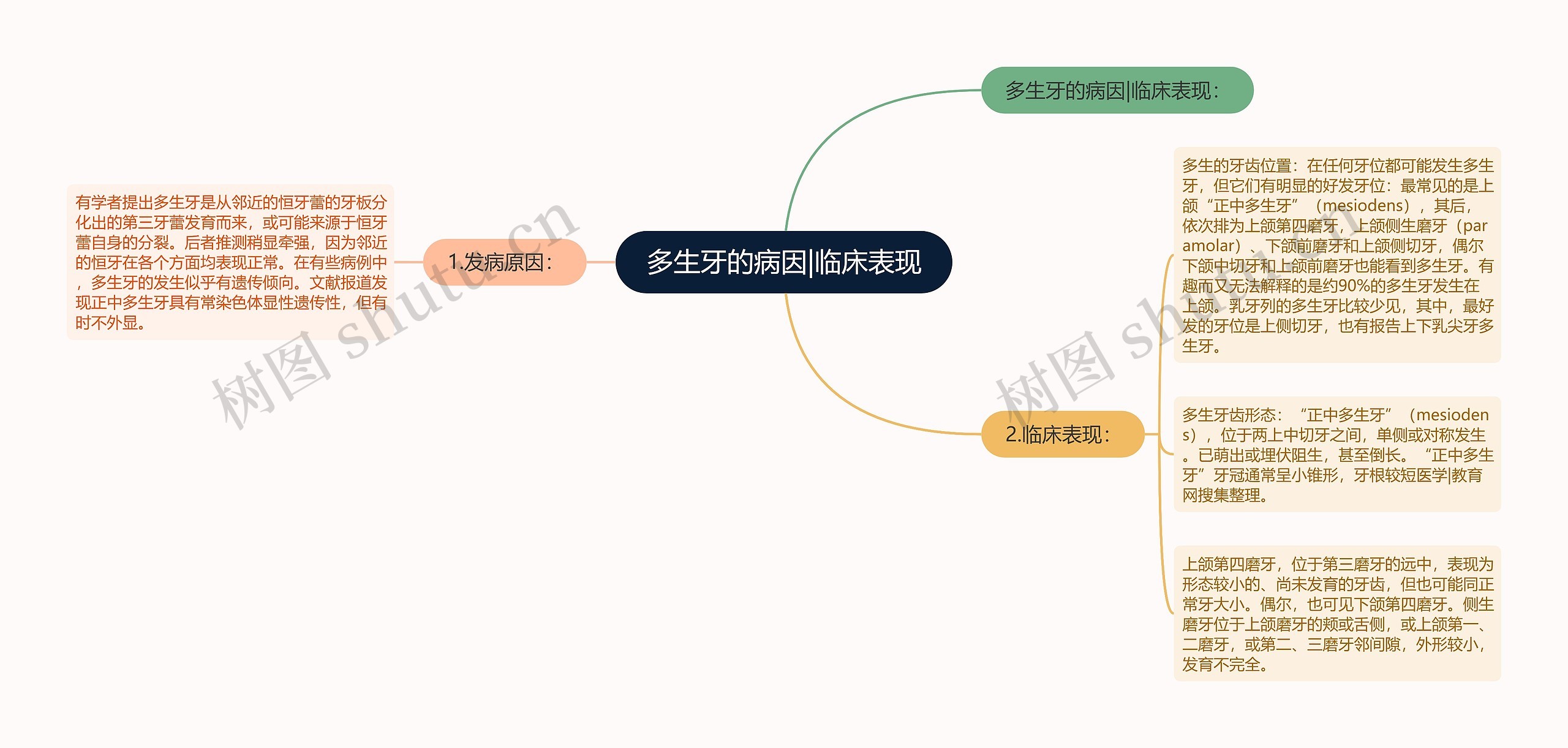 多生牙的病因|临床表现