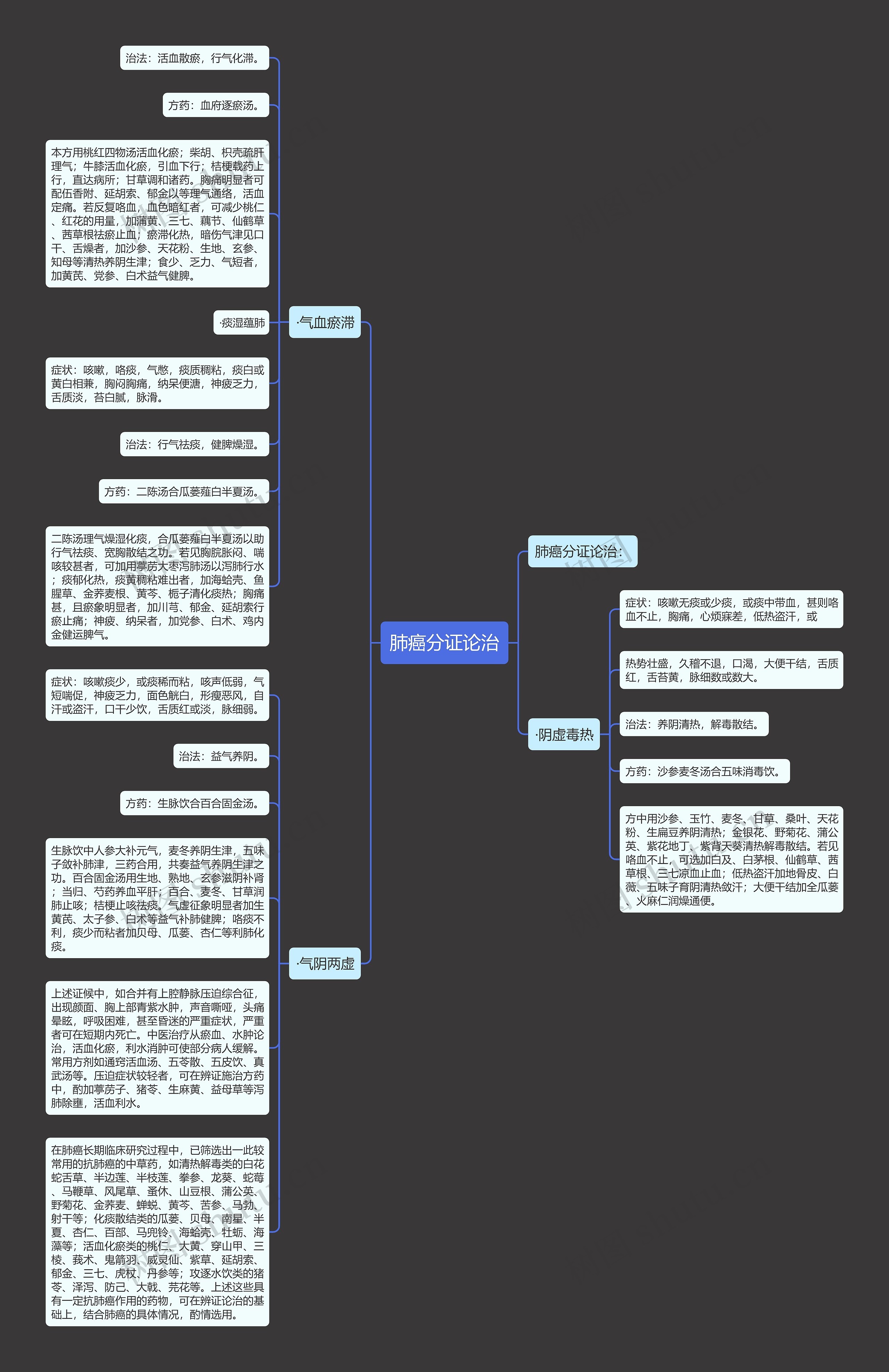 肺癌分证论治思维导图
