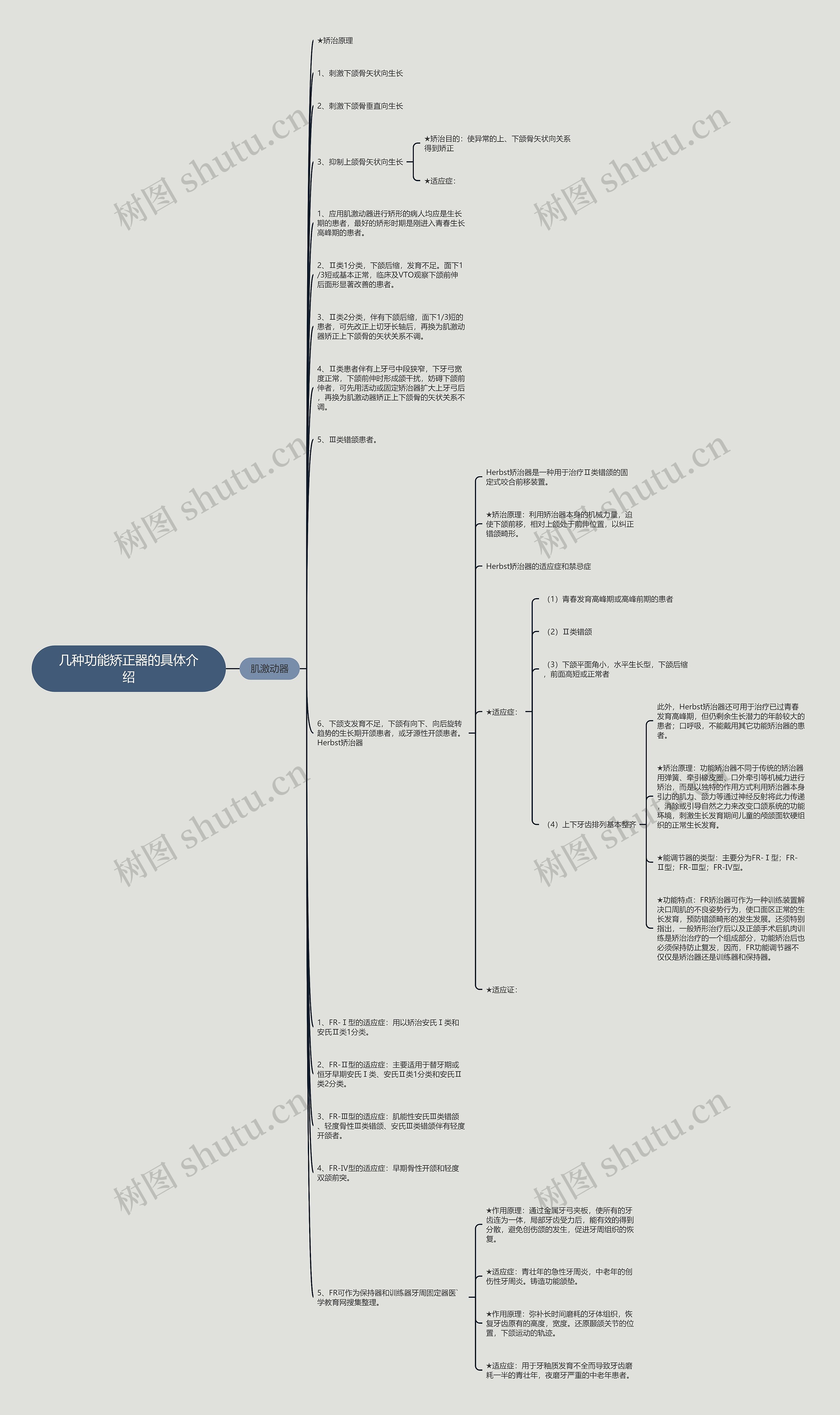 几种功能矫正器的具体介绍思维导图