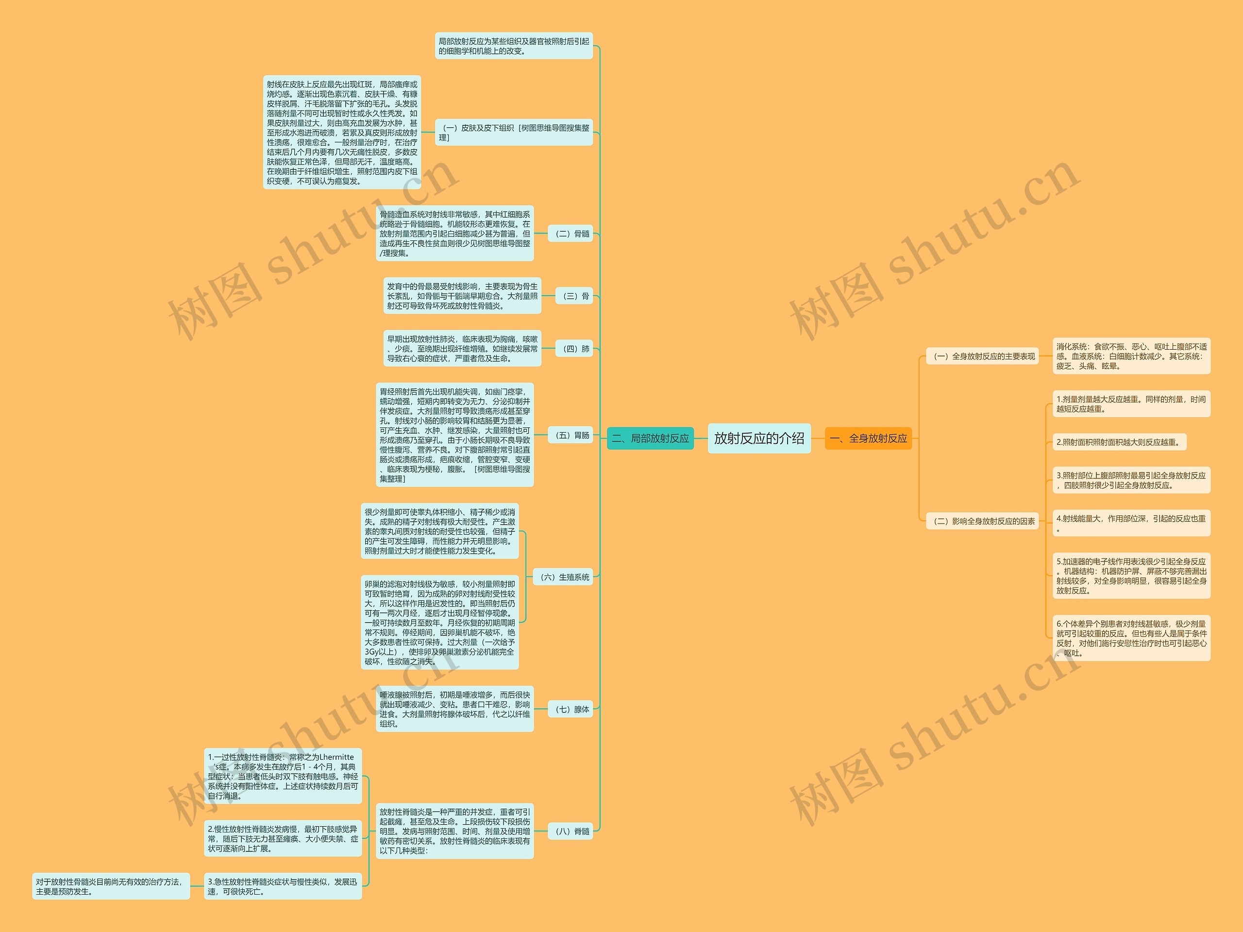 放射反应的介绍 放射反应的介绍