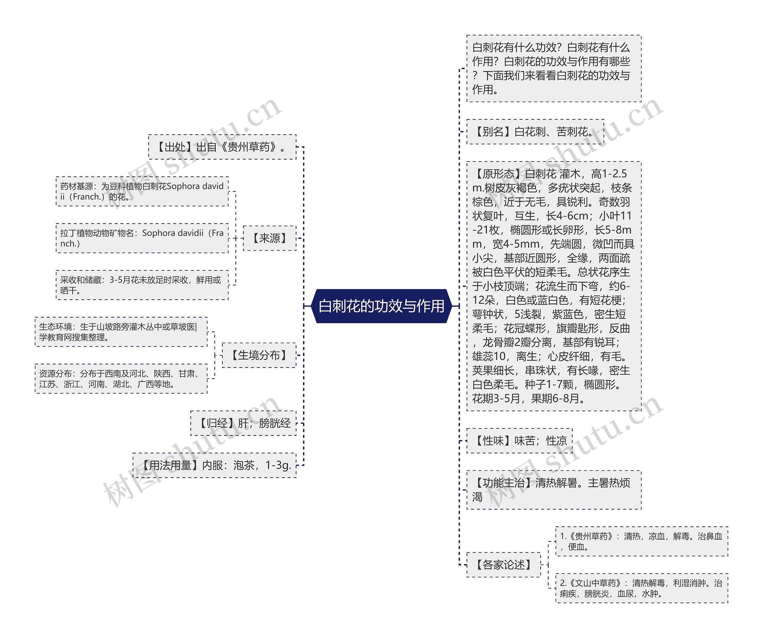 白刺花的功效与作用思维导图