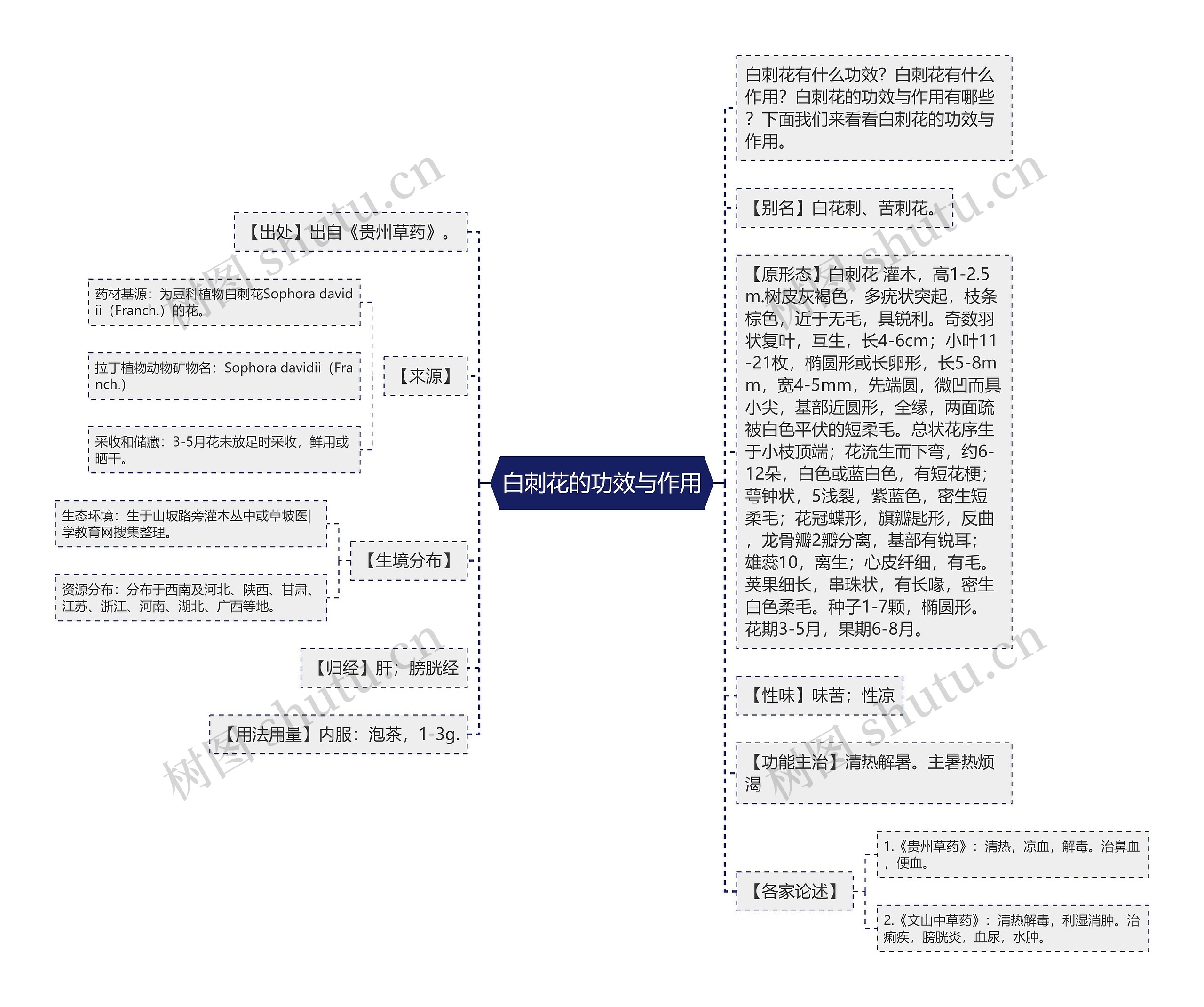 白刺花的功效与作用 白刺花的功效与作用
