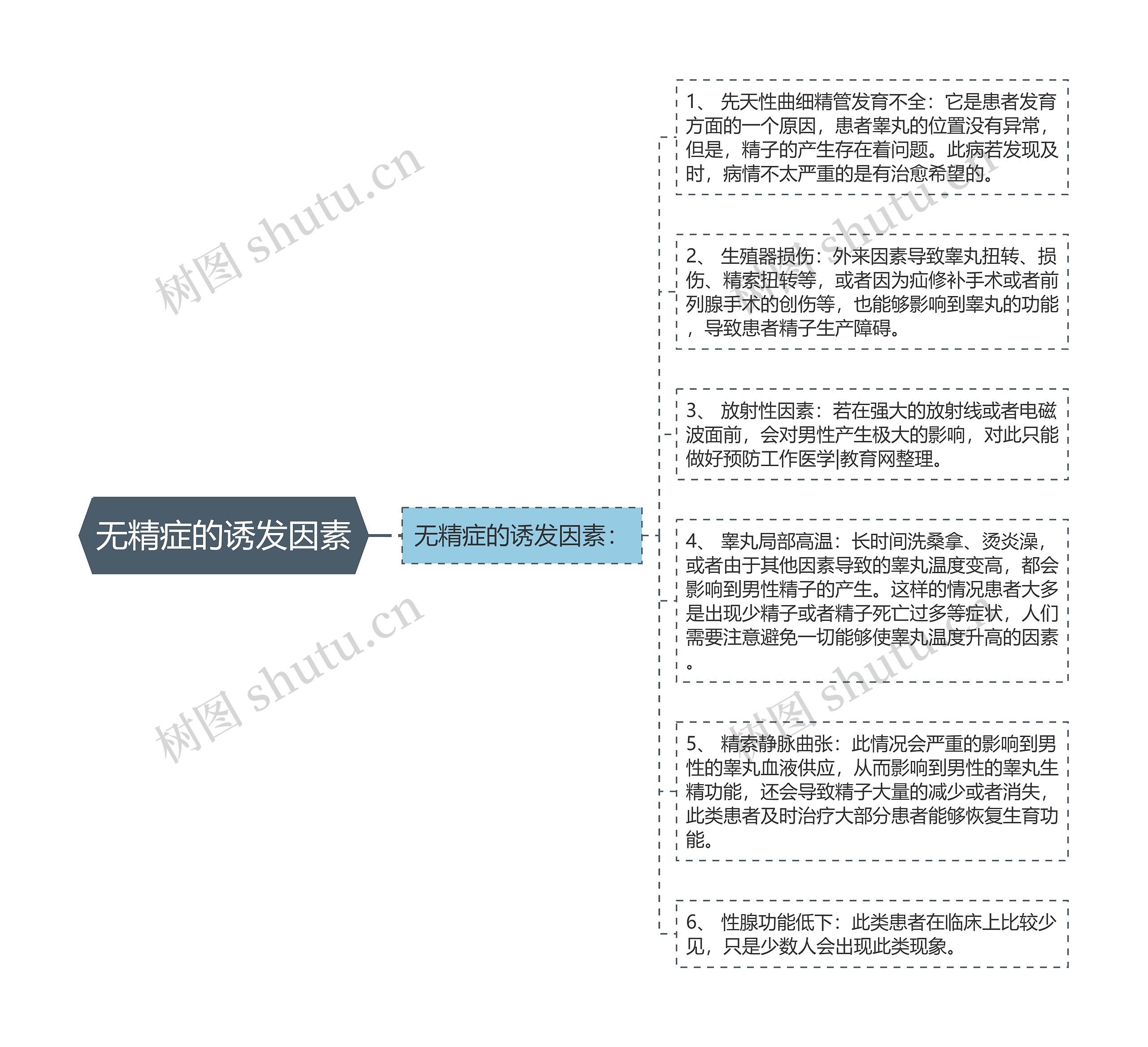 无精症的诱发因素思维导图