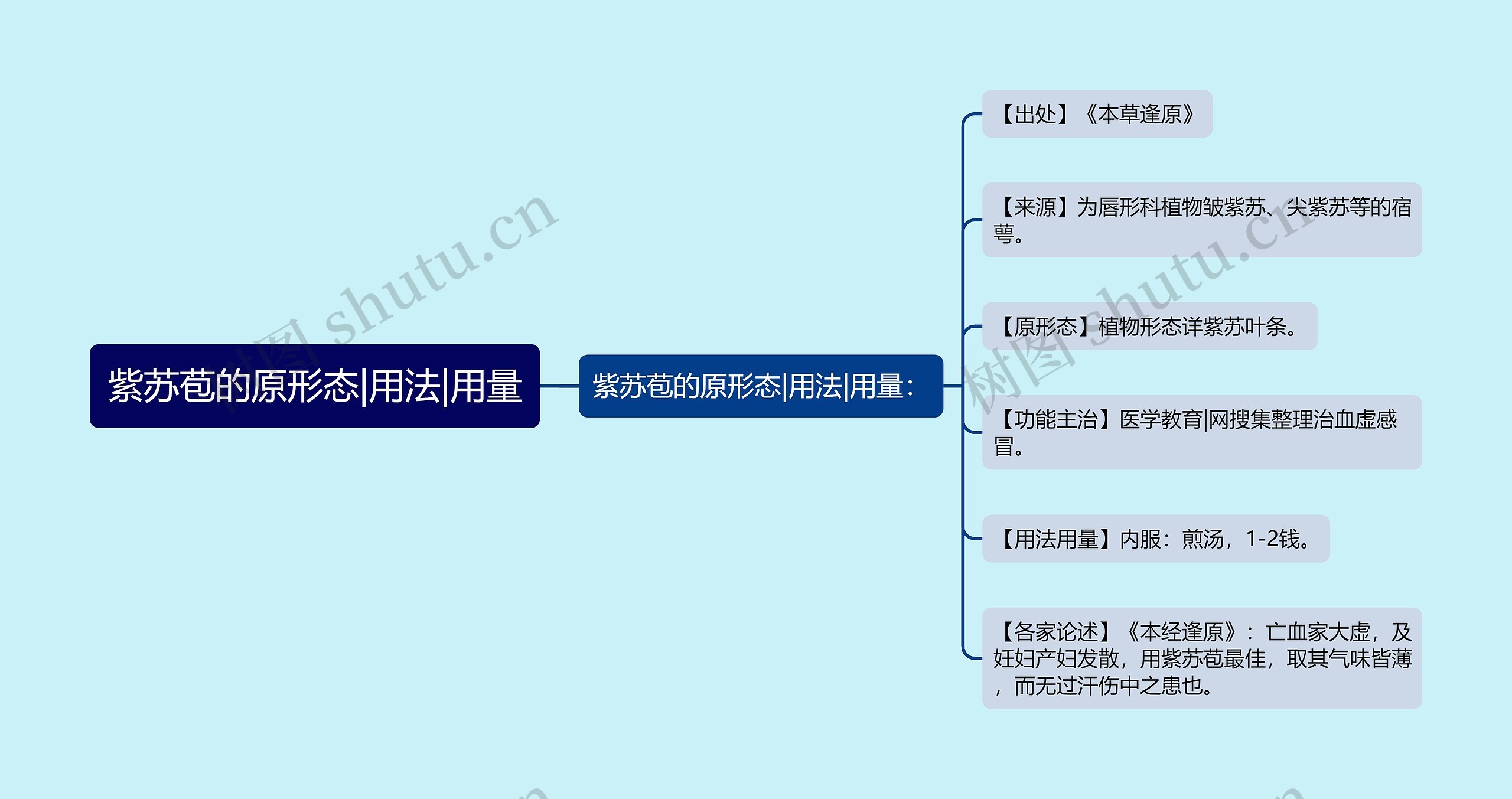 紫苏苞的原形态|用法|用量思维导图