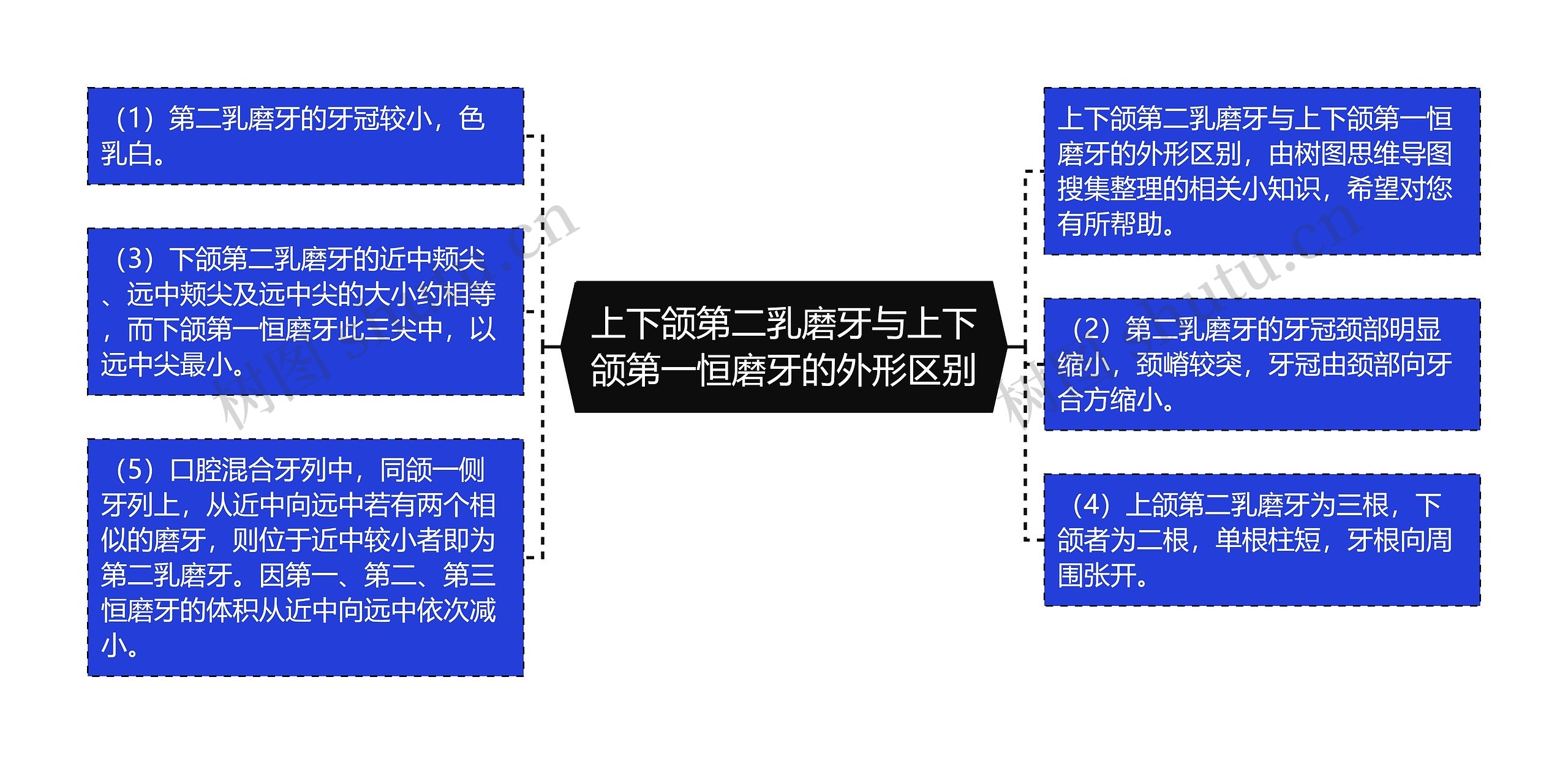 上下颌第二乳磨牙与上下颌第一恒磨牙的外形区别思维导图