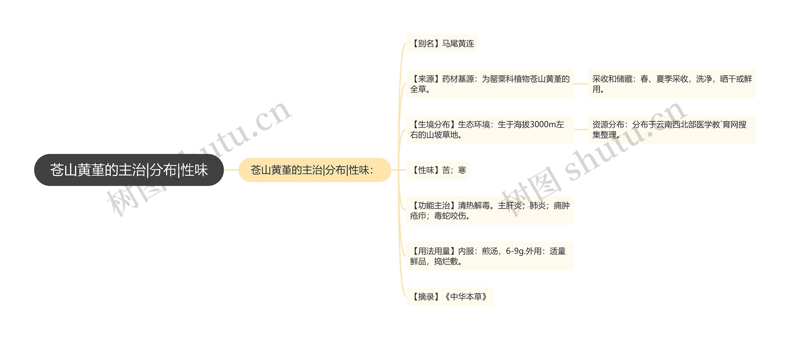 苍山黄堇的主治|分布|性味思维导图