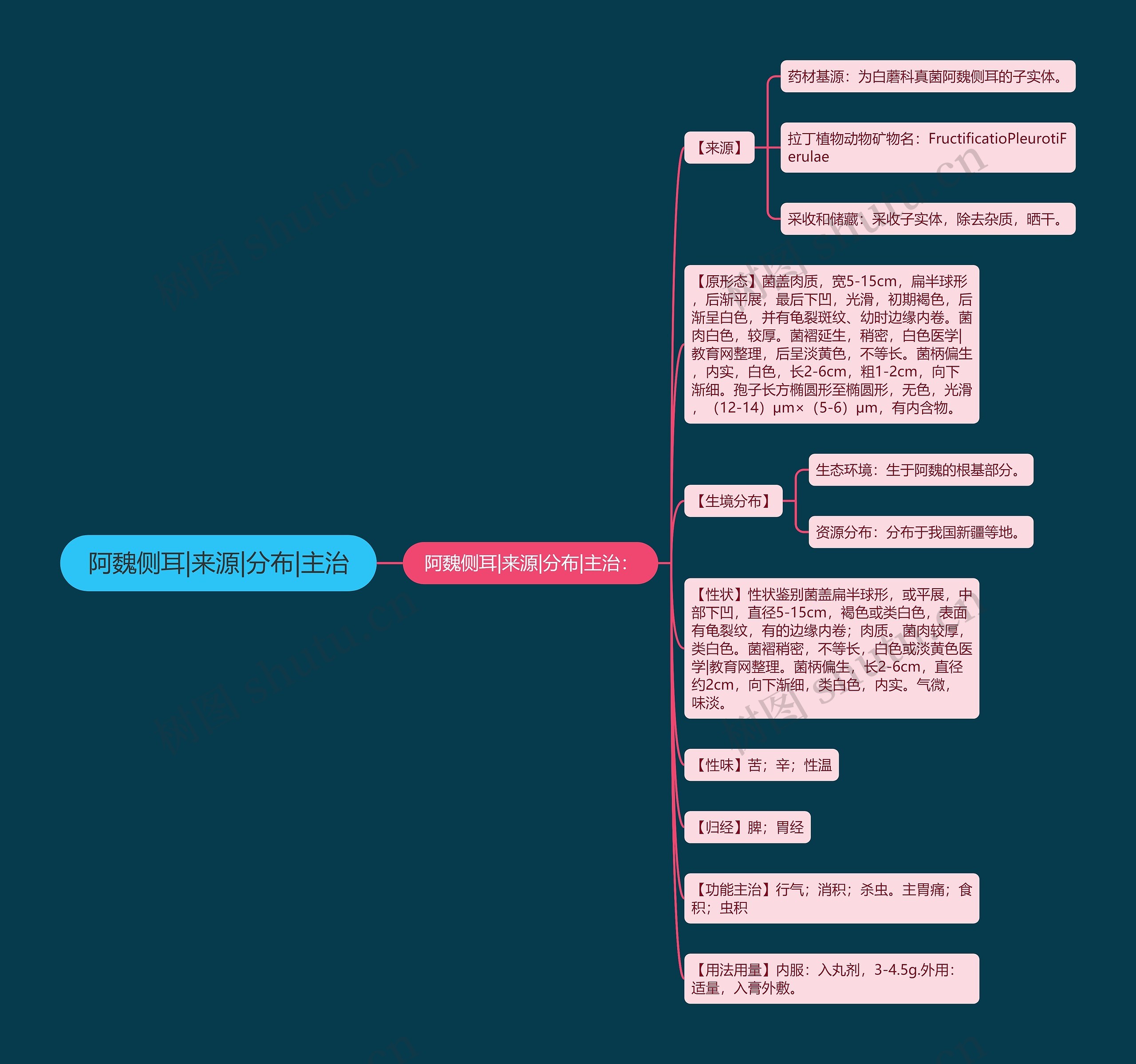 阿魏侧耳|来源|分布|主治 阿魏侧耳|来源|分布|主治