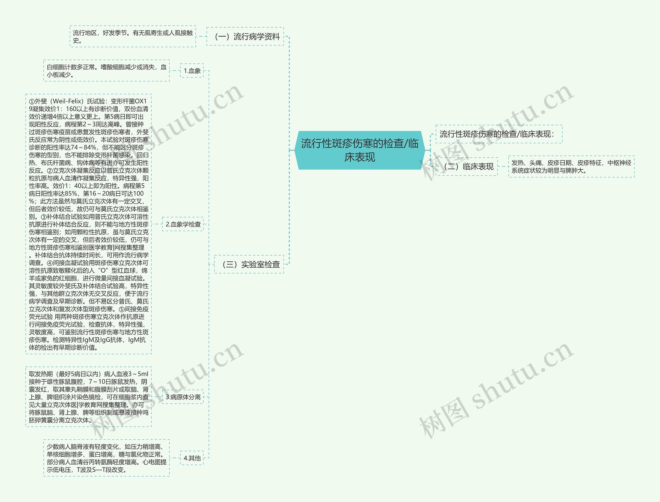 流行性斑疹伤寒的检查/临床表现思维导图