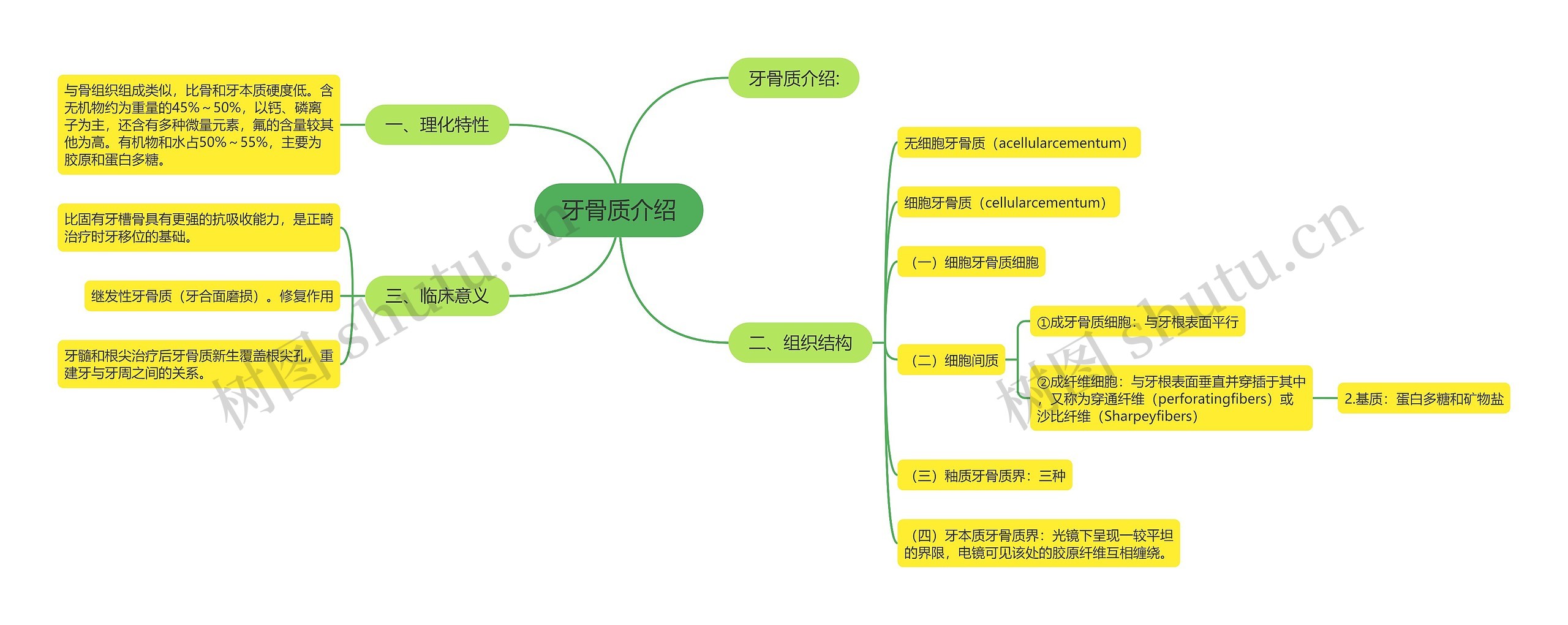 牙骨质介绍思维导图