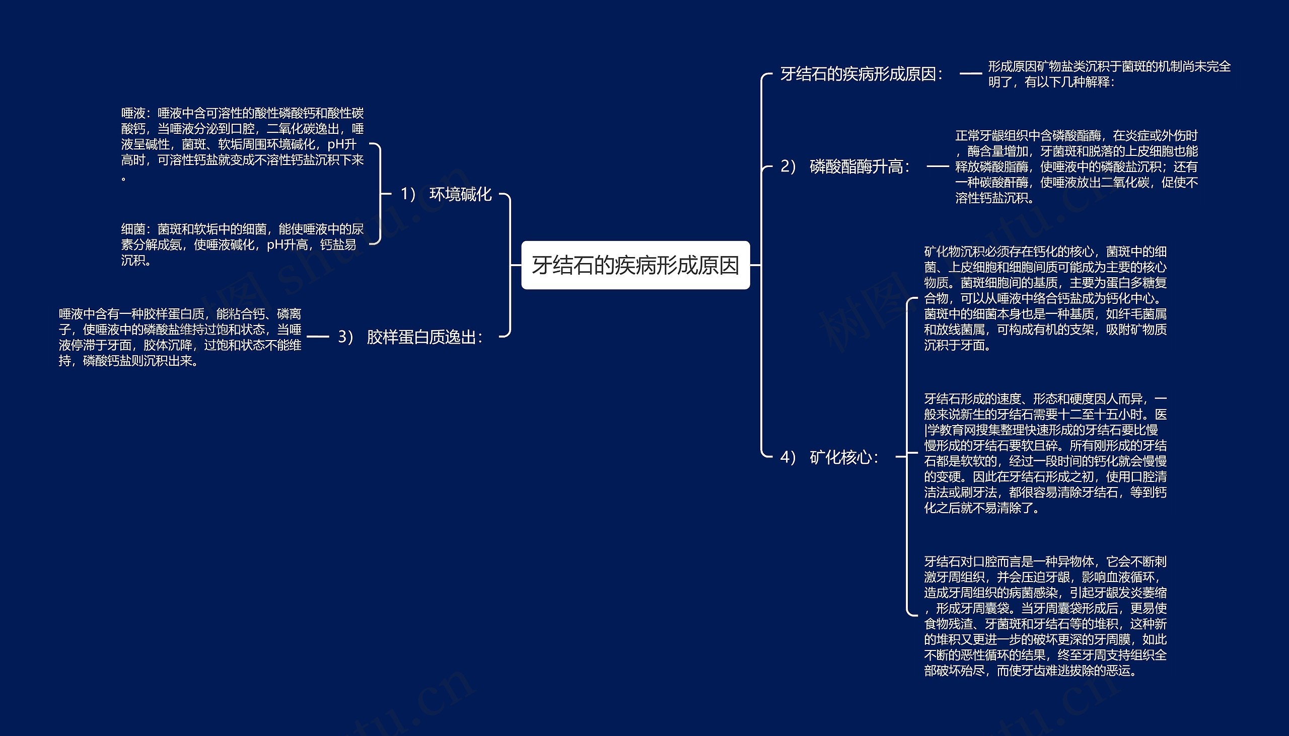 牙结石的疾病形成原因思维导图