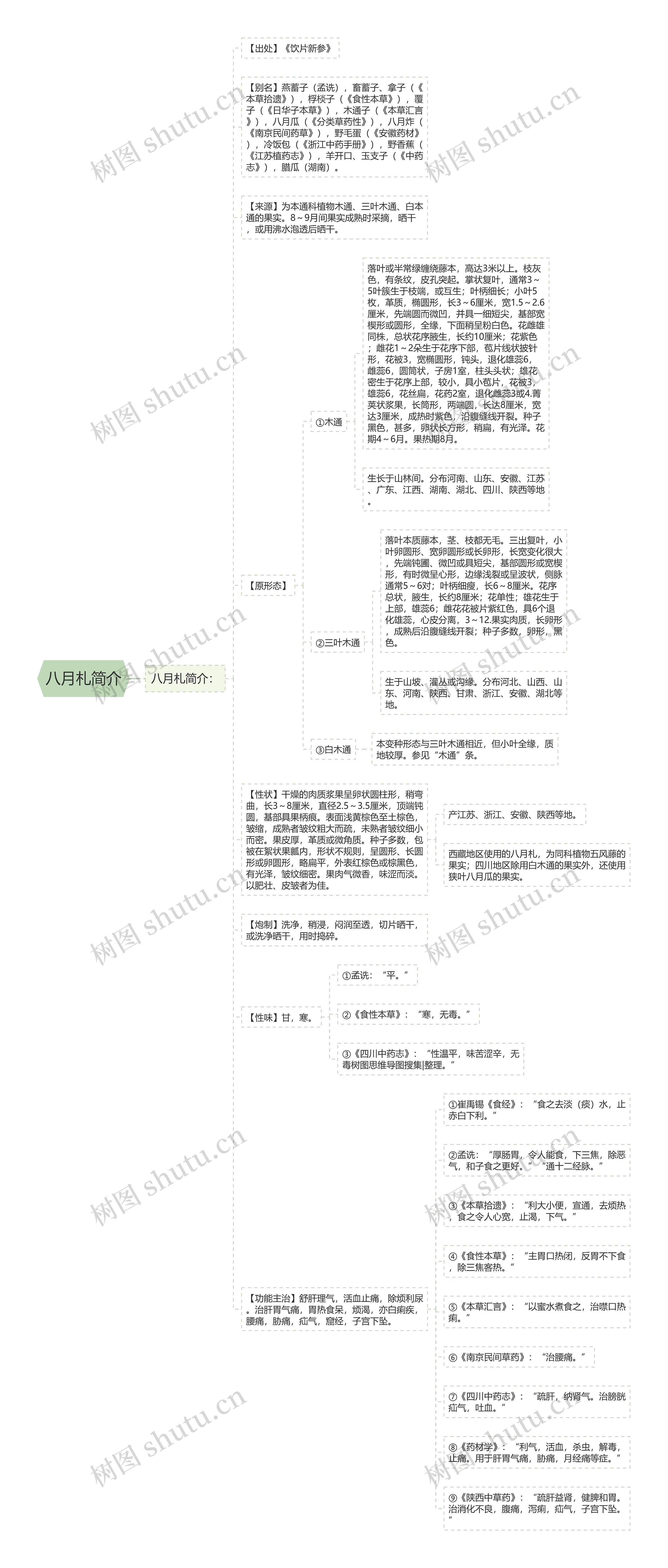 八月札简介 八月札简介