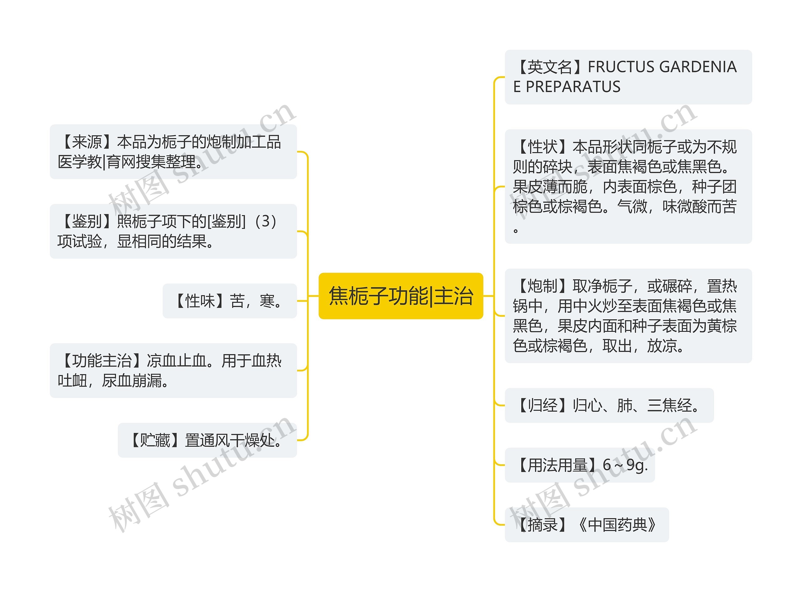 焦栀子功能|主治思维导图