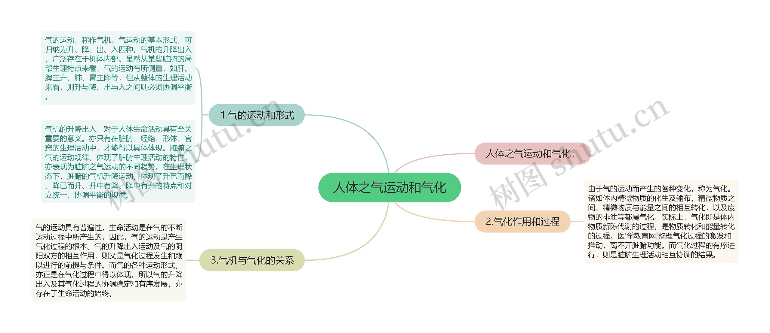 人体之气运动和气化思维导图