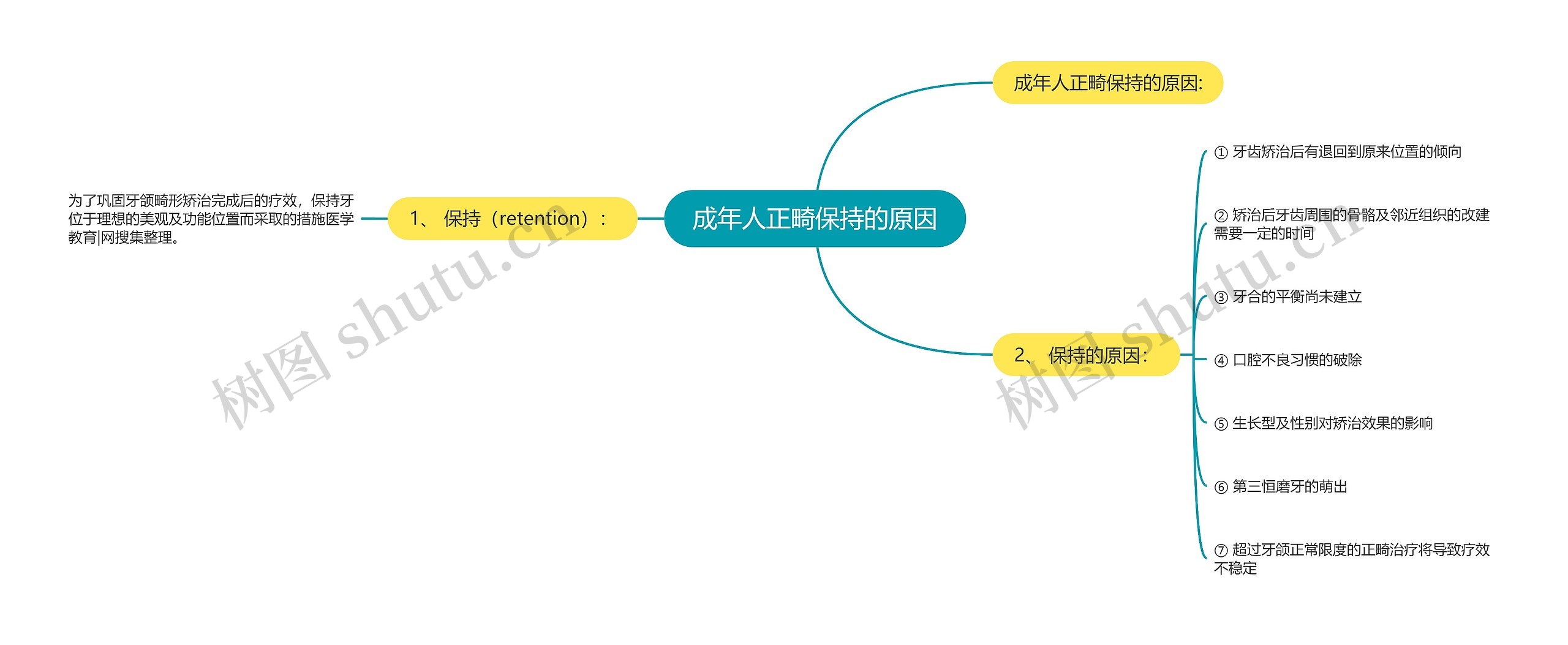 成年人正畸保持的原因