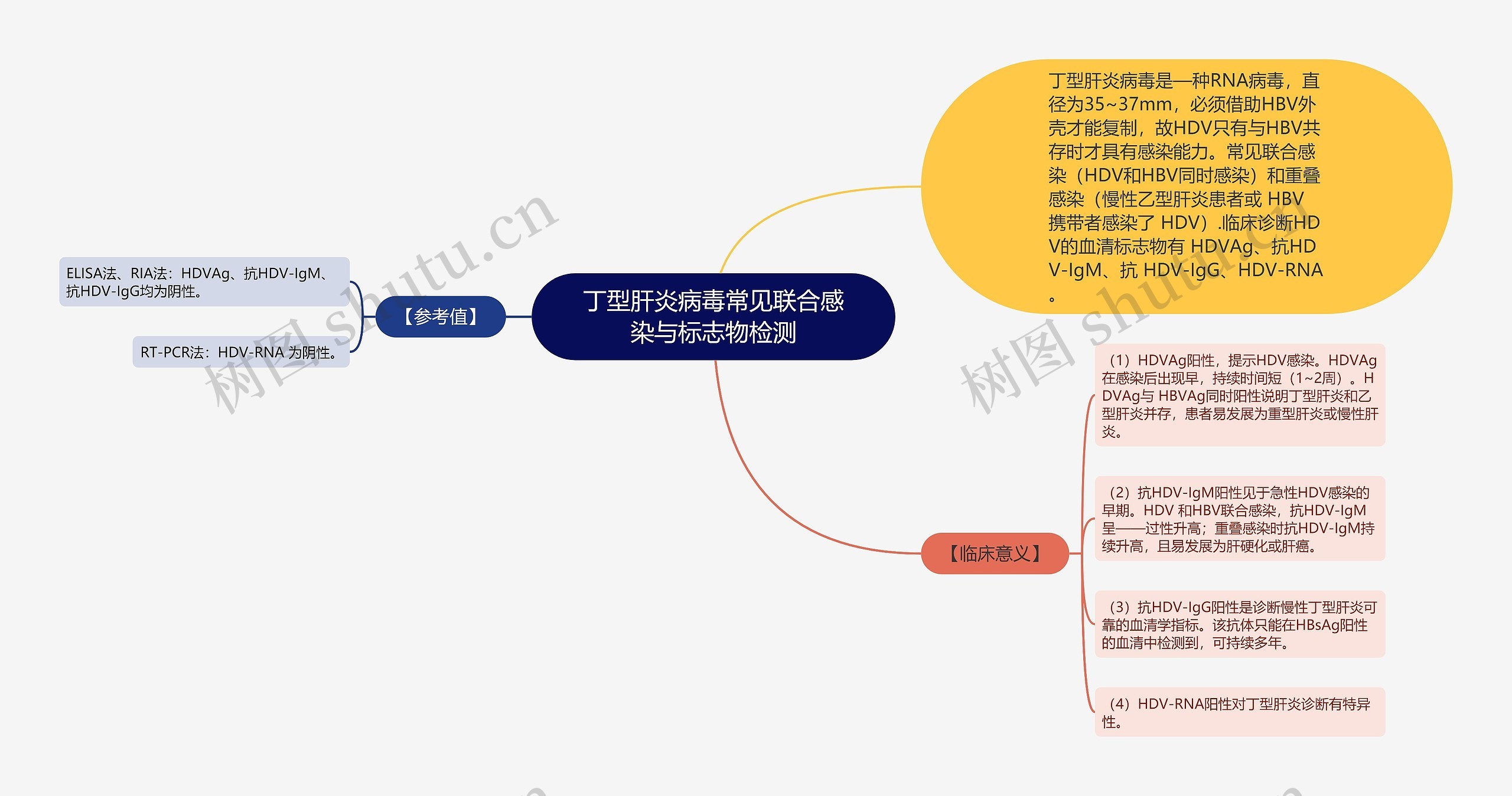 丁型肝炎病毒常见联合感染与标志物检测 丁型肝炎病毒常见联合感染与标志物检测