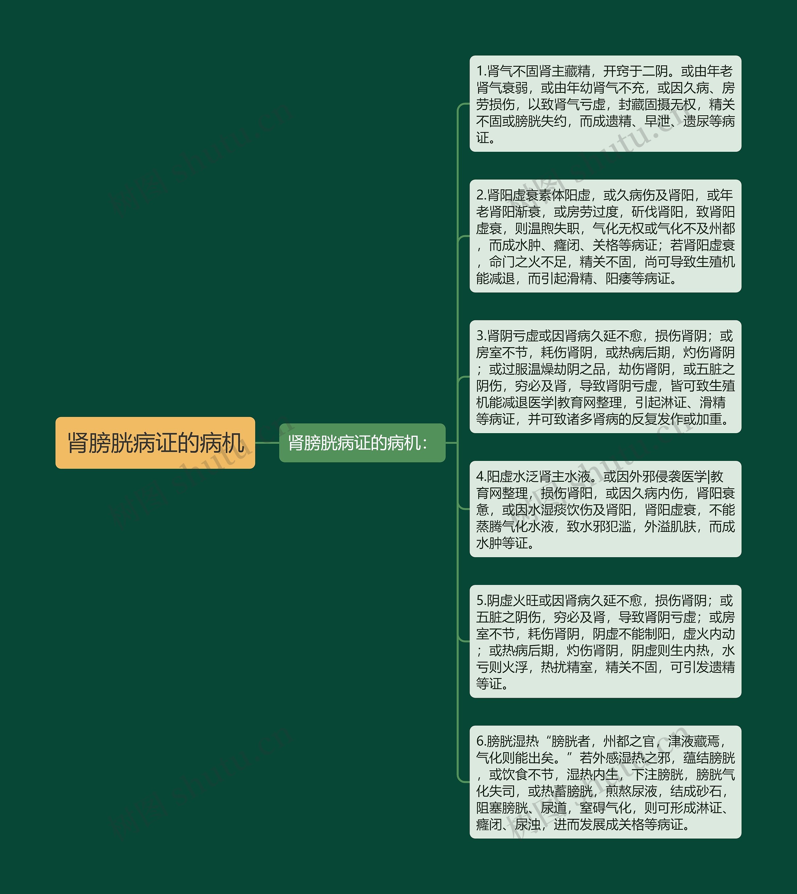 肾膀胱病证的病机思维导图