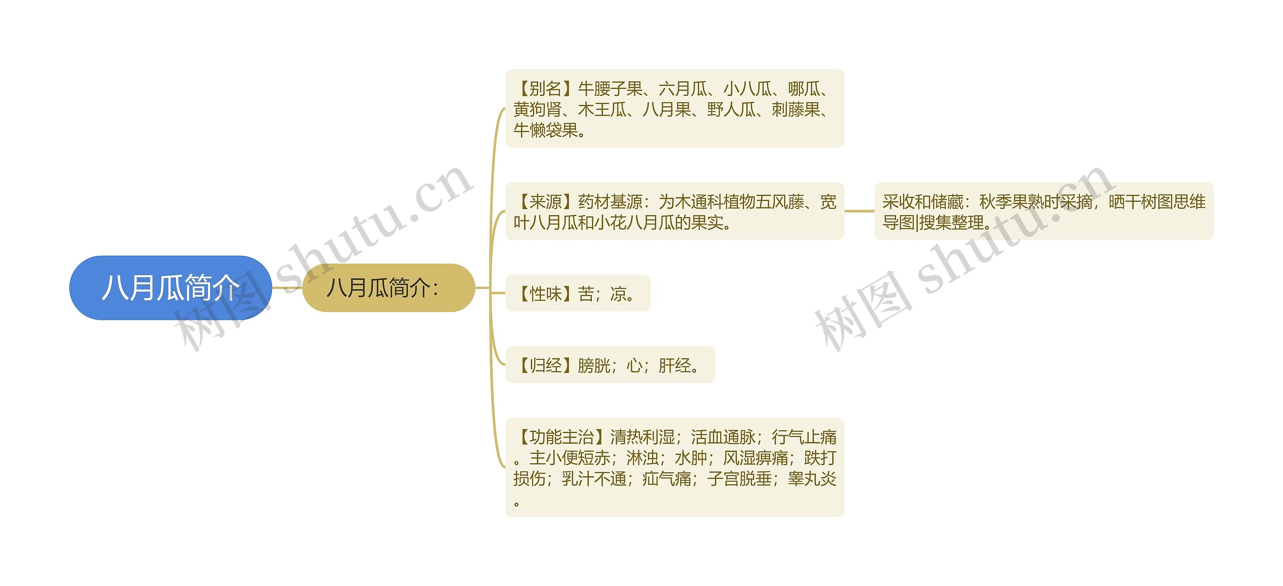 八月瓜简介思维导图