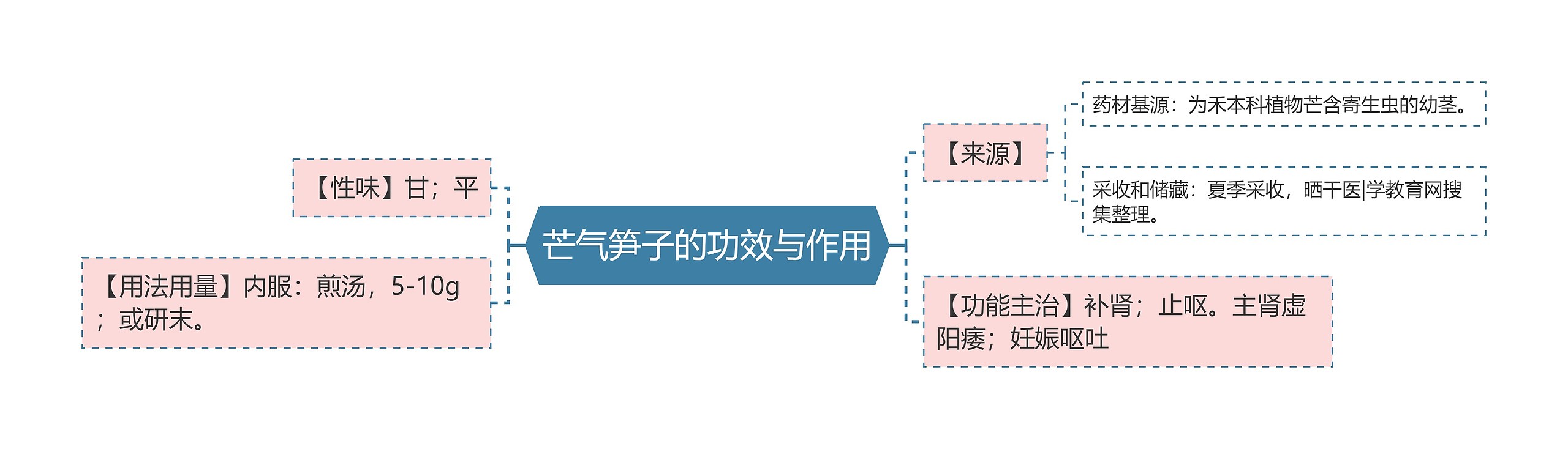 芒气笋子的功效与作用思维导图