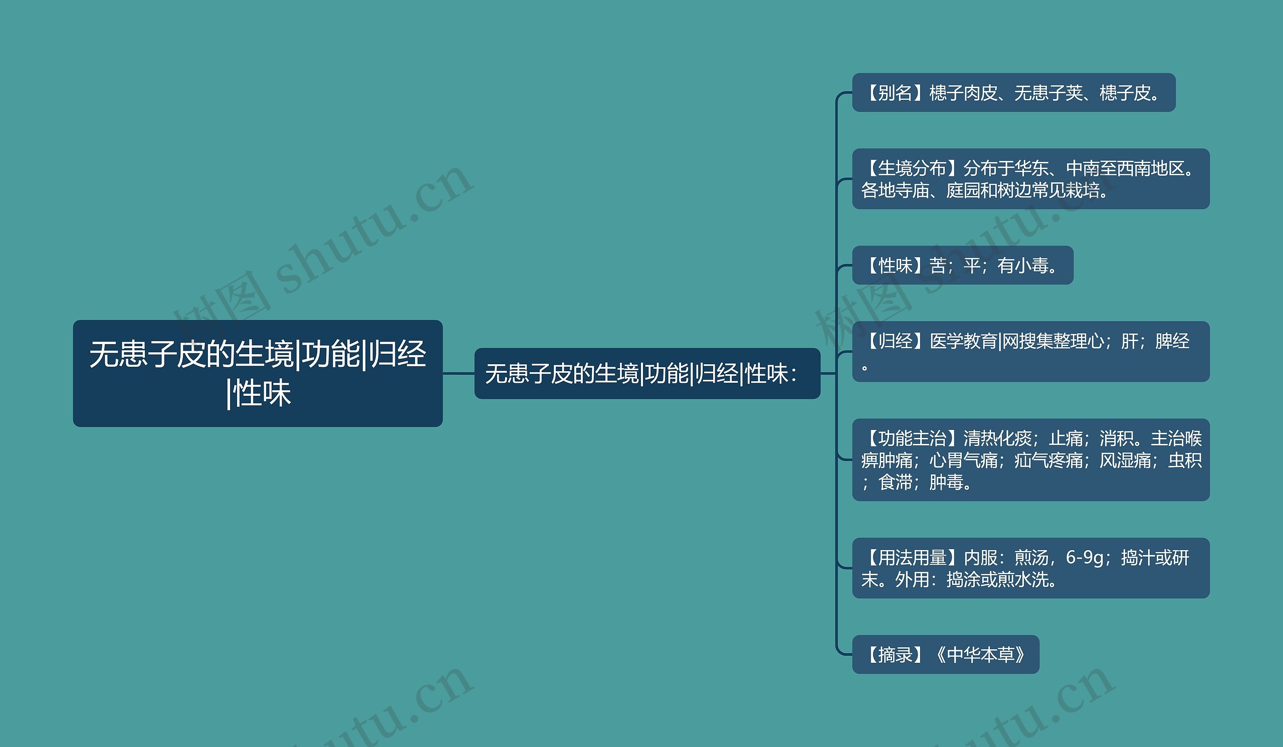 无患子皮的生境|功能|归经|性味思维导图