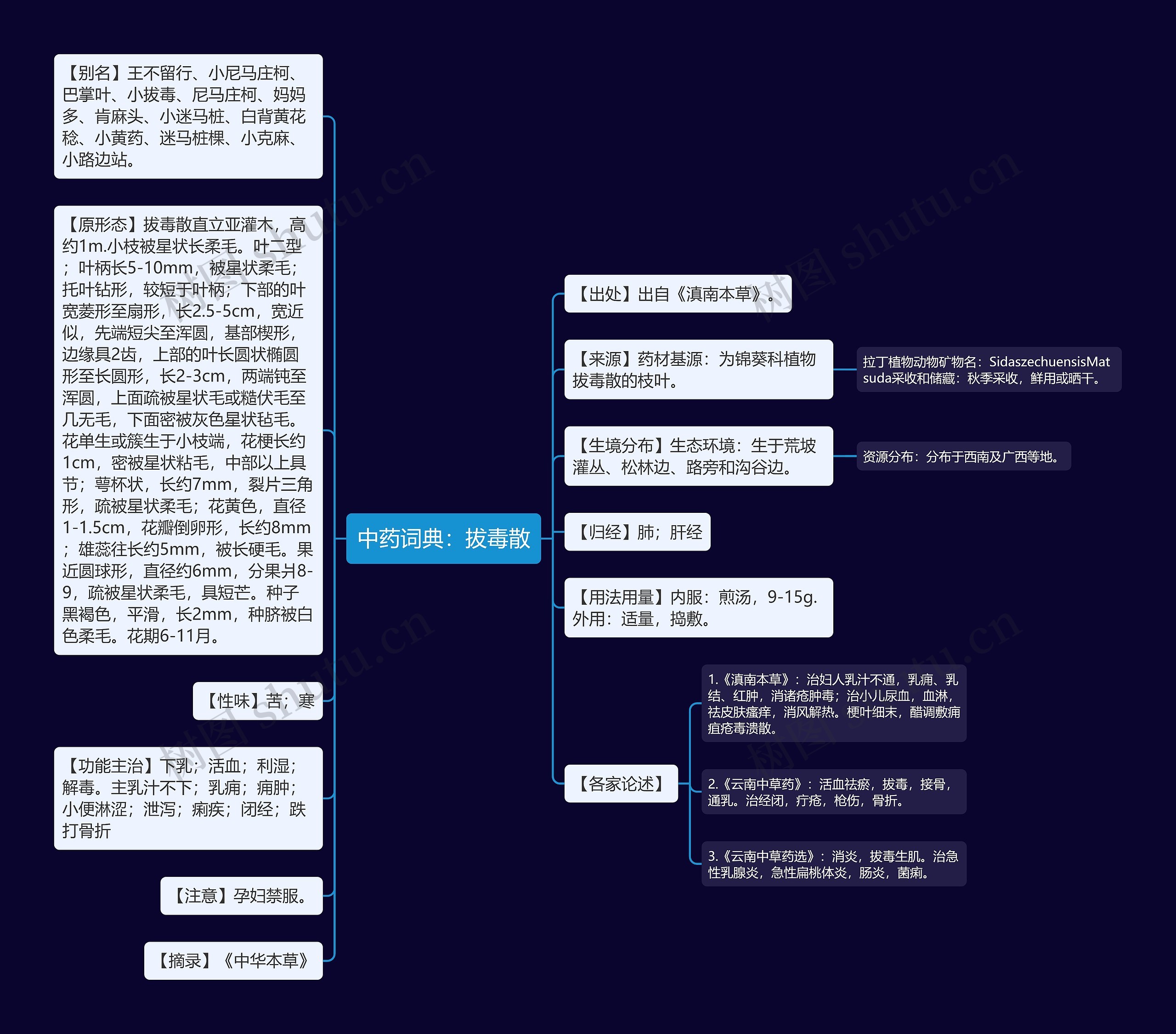 中药词典：拔毒散思维导图