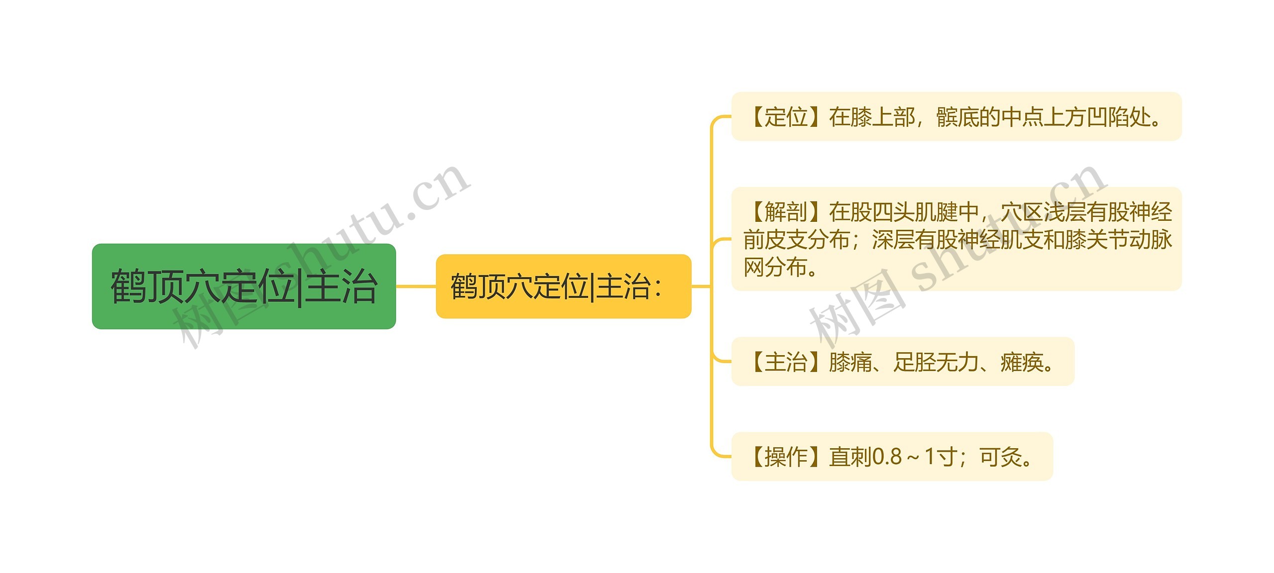 鹤顶穴定位|主治