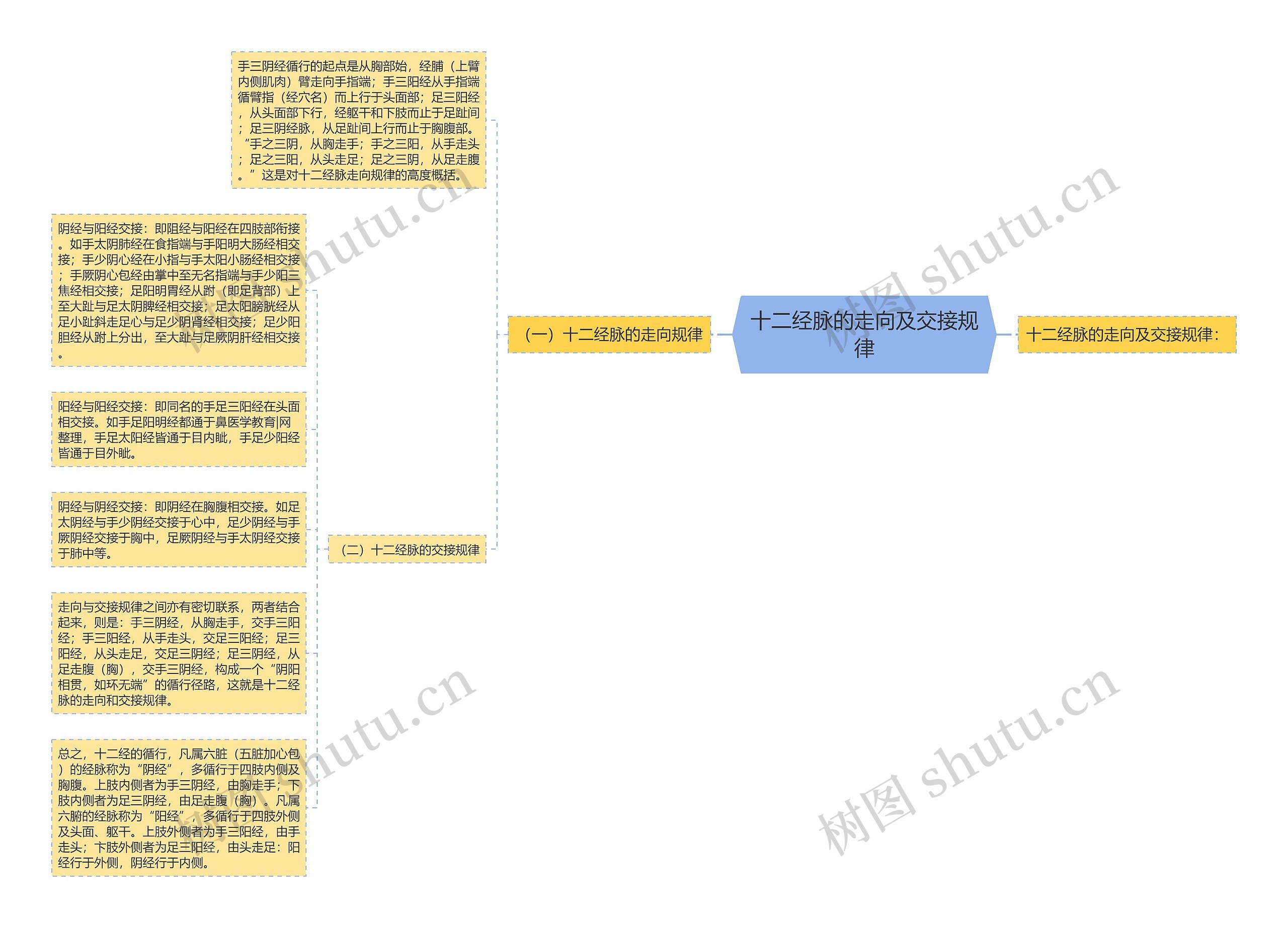 十二经脉的走向及交接规律思维导图