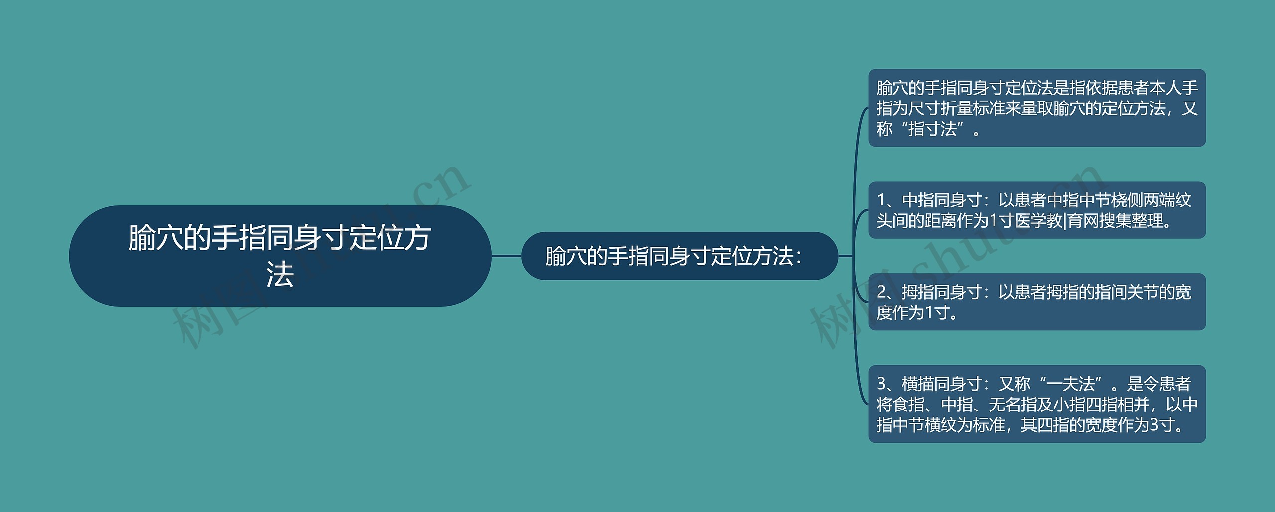 腧穴的手指同身寸定位方法 腧穴的手指同身寸定位方法