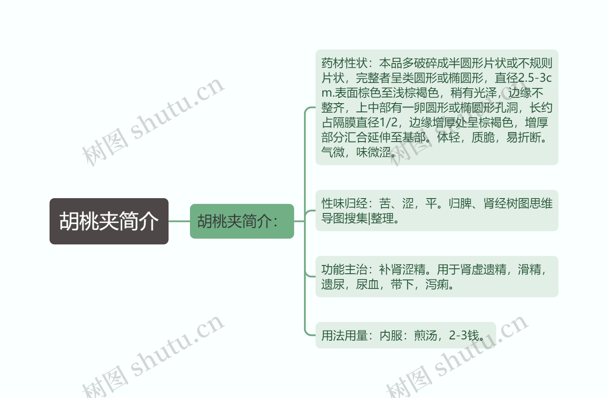 胡桃夹简介思维导图