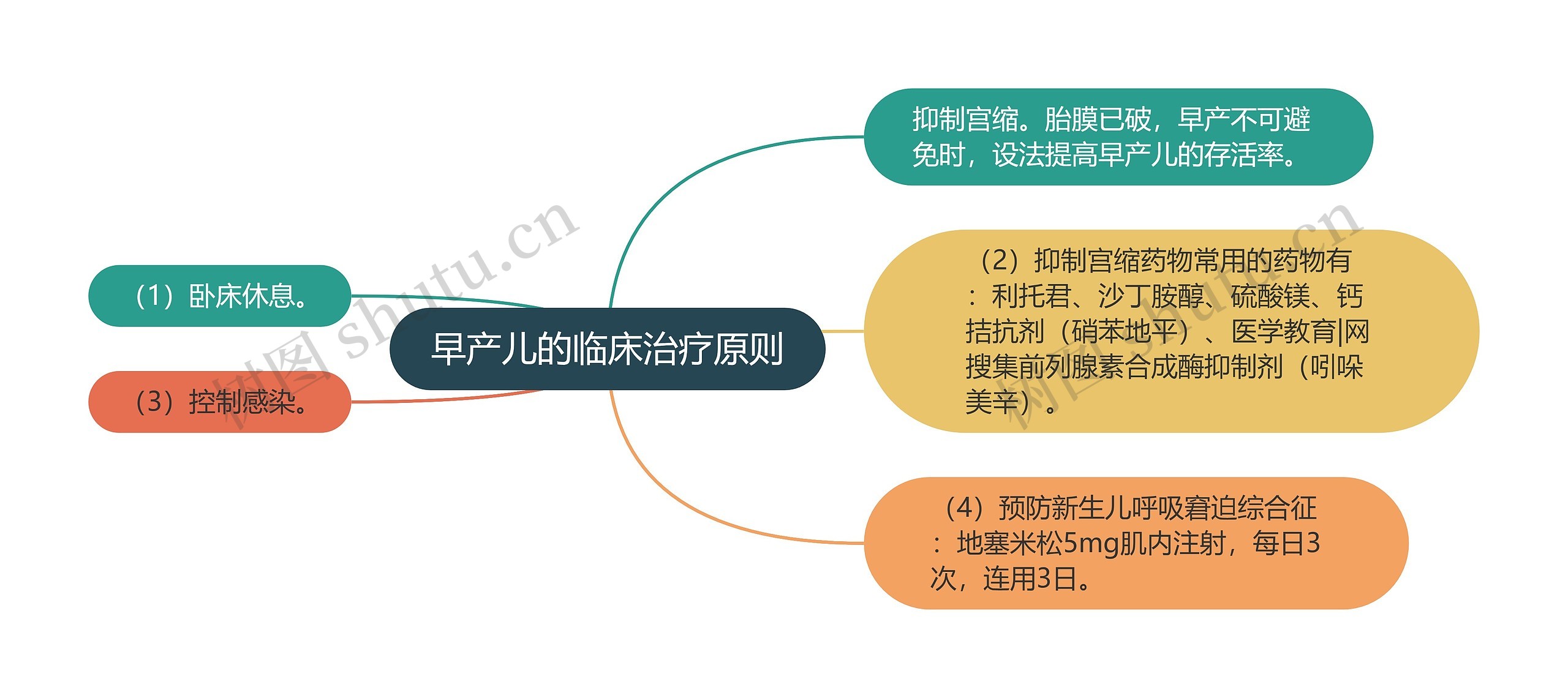 早产儿的临床治疗原则思维导图