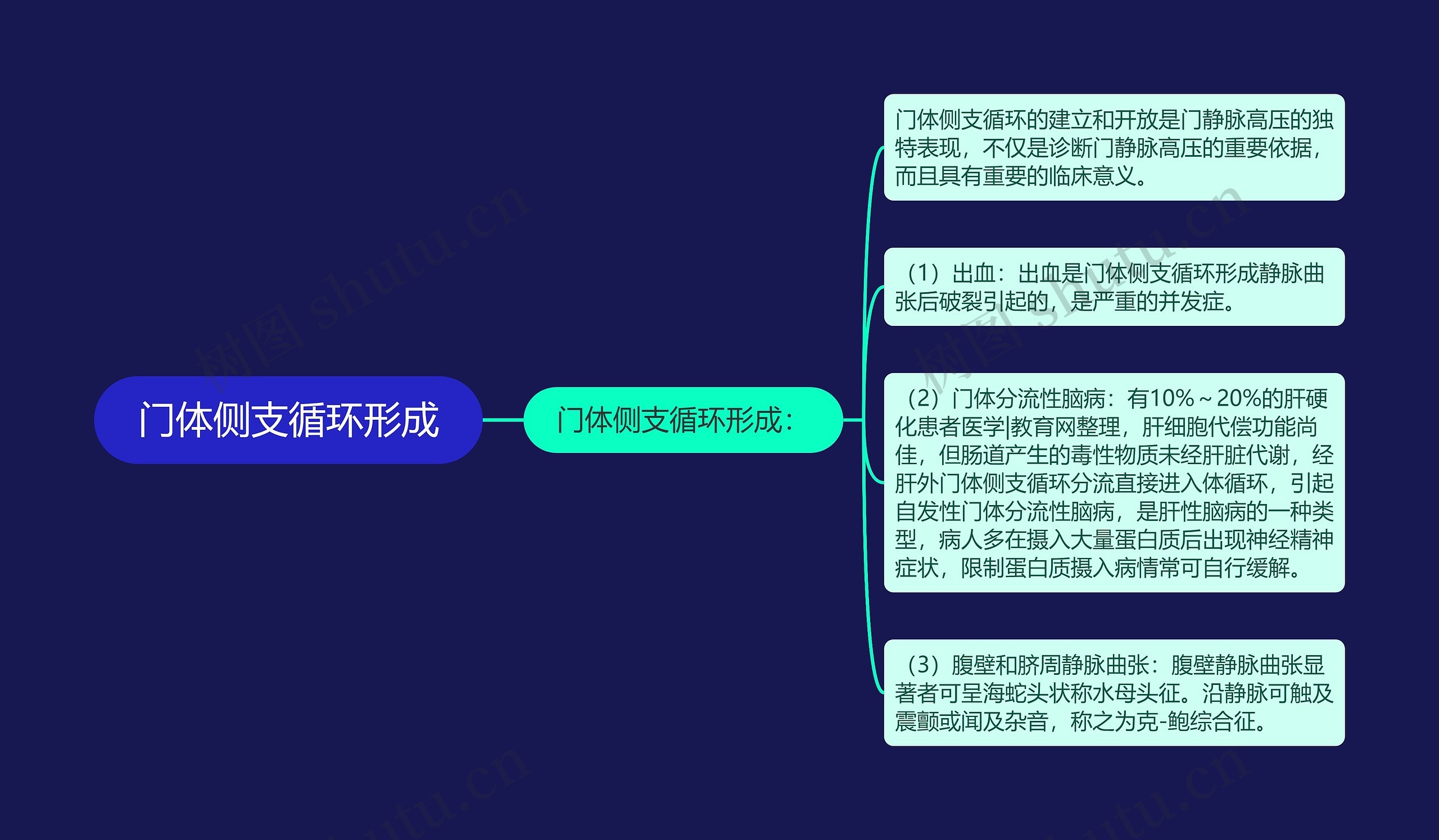 门体侧支循环形成思维导图