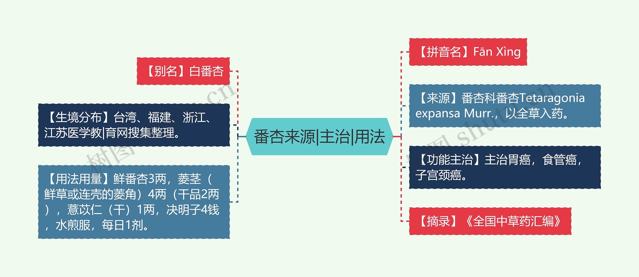 番杏来源|主治|用法思维导图